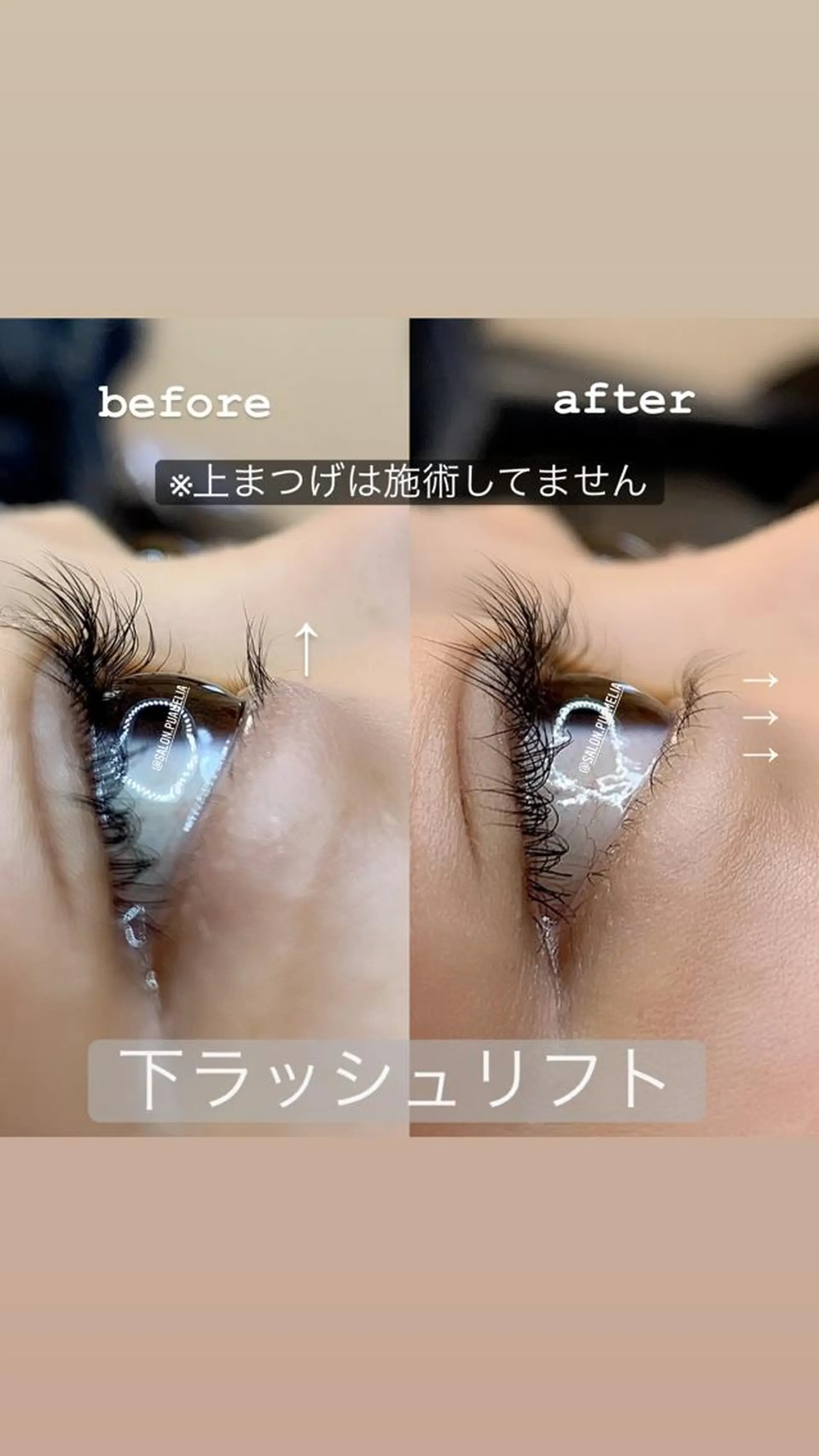 マツエク・マツパ Pua Meliaのマツエク・マツパデザイン