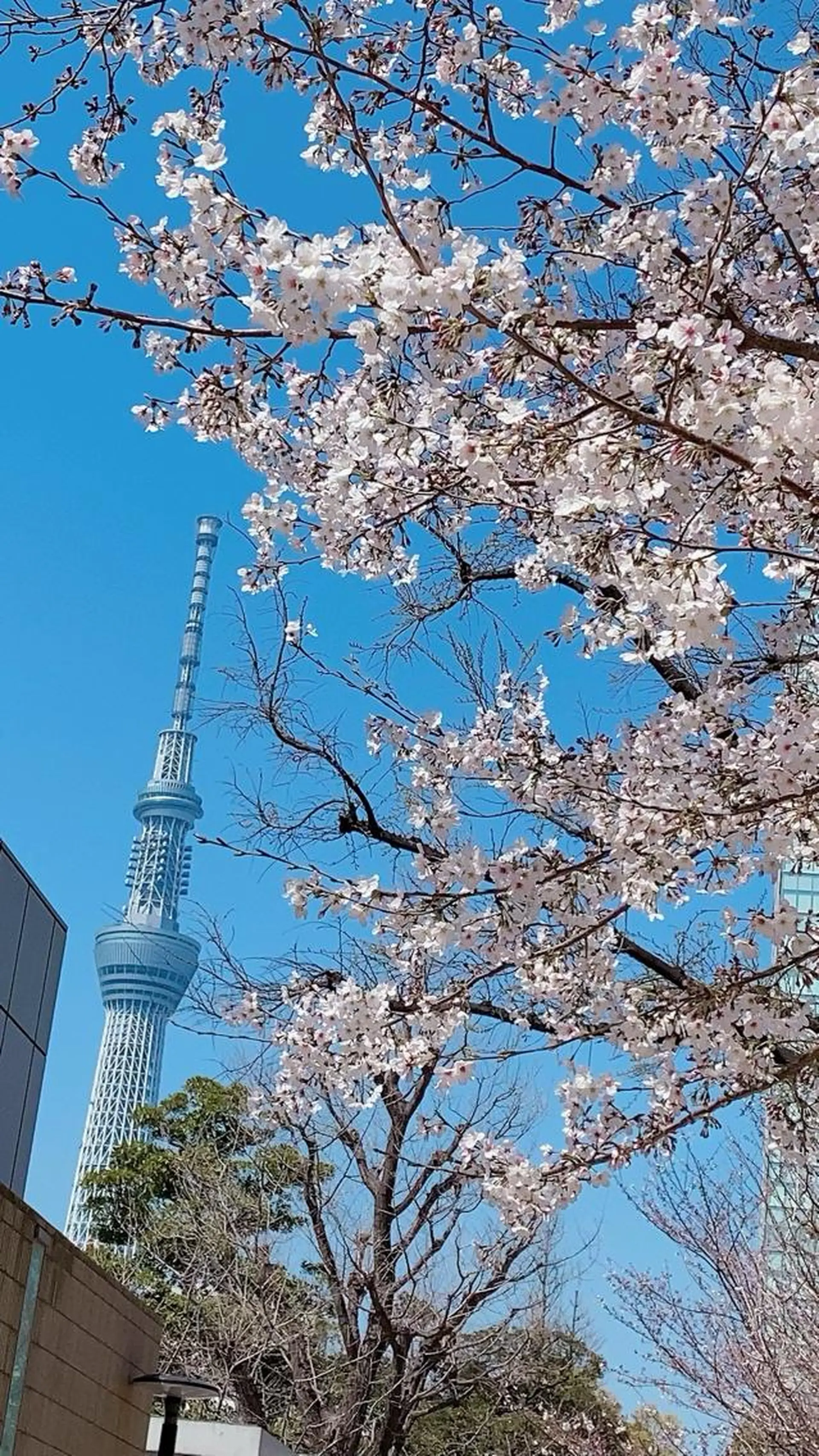 風のテラス 錦糸町北口30秒のエステ・リラクイメージ