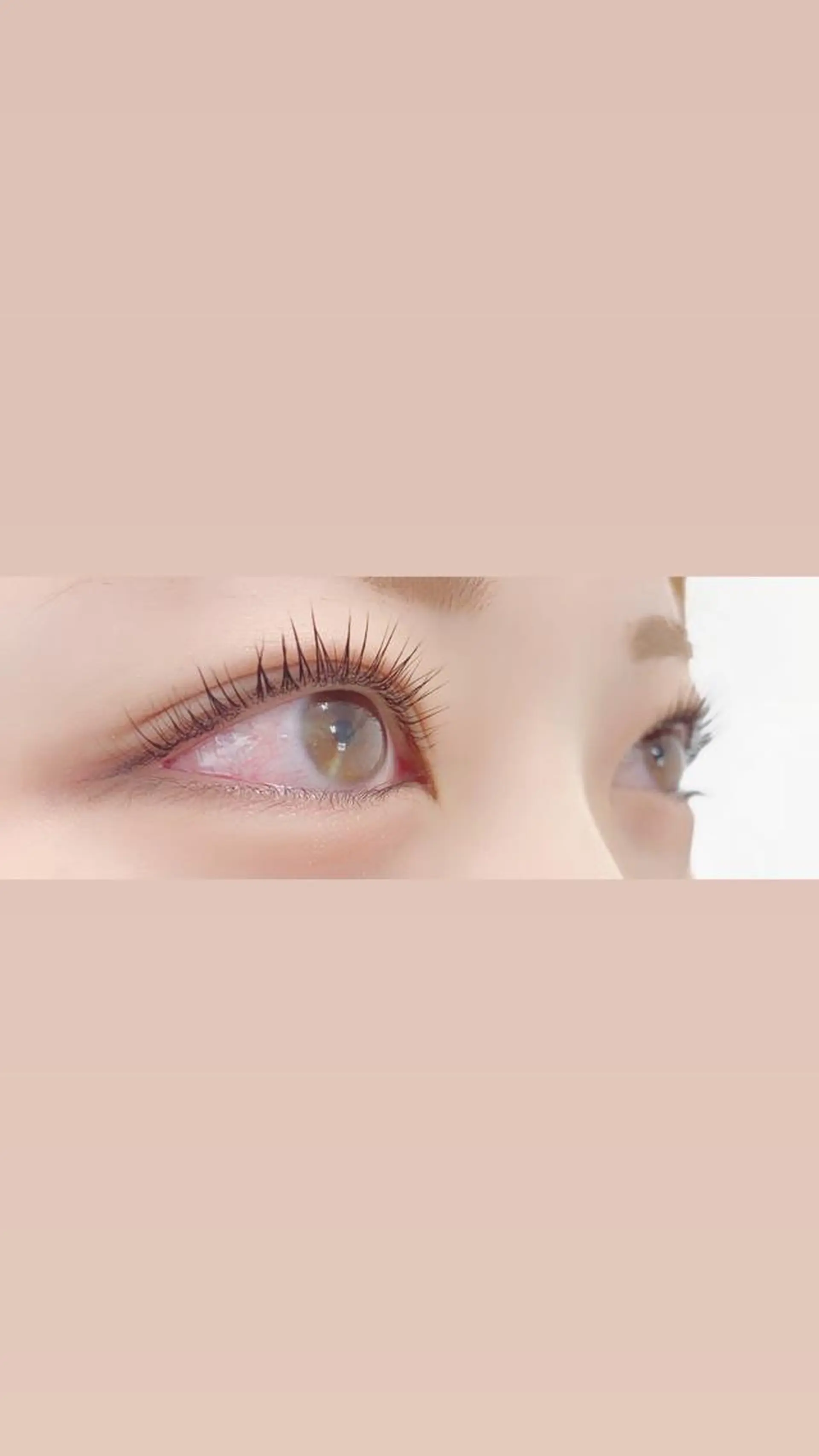 マツエク・マツパ マツパ MAHALO 𓆉の眉毛・アイブロウイメージ