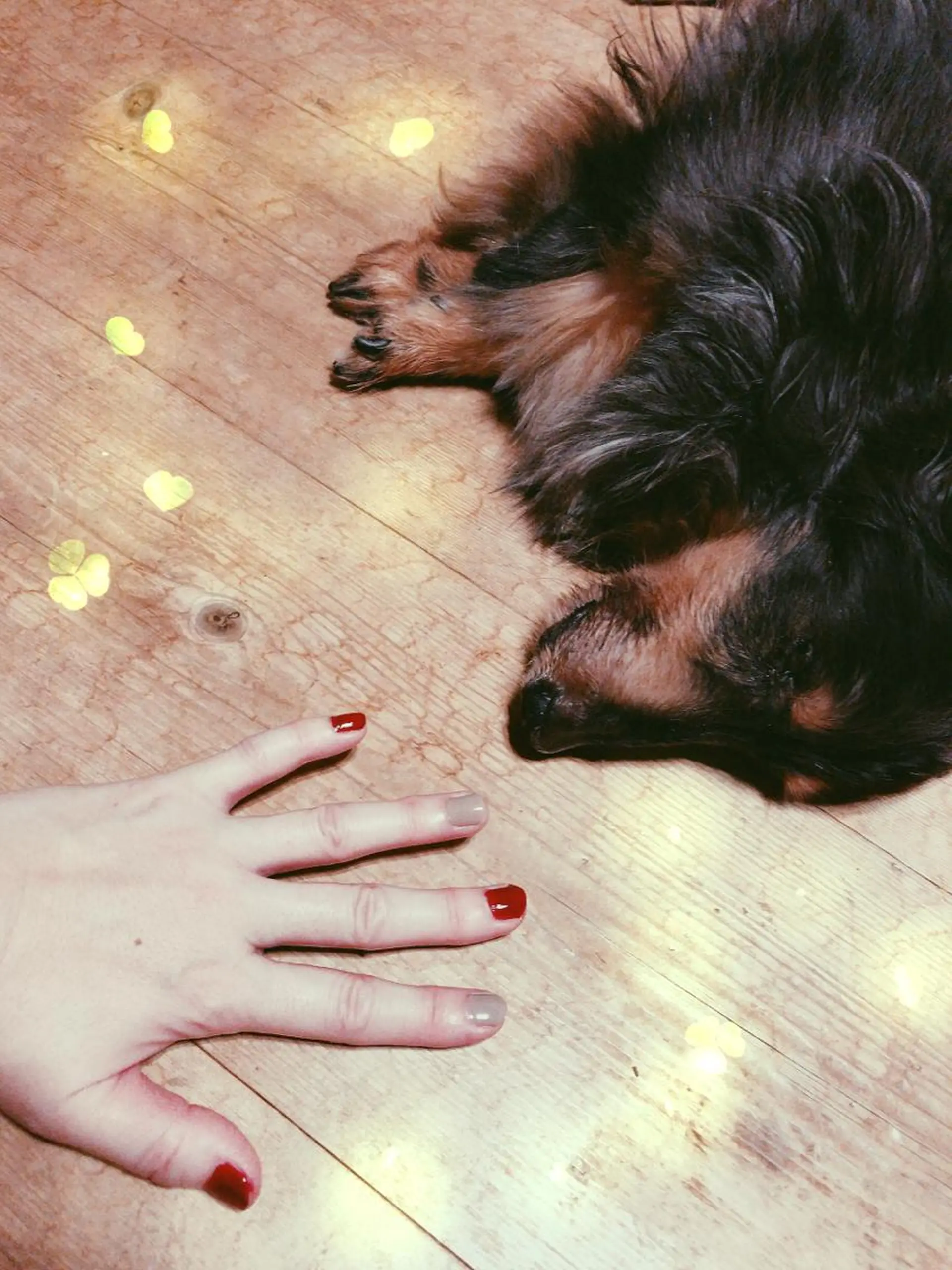 岩井 秋子のエステ・リラクイメージ