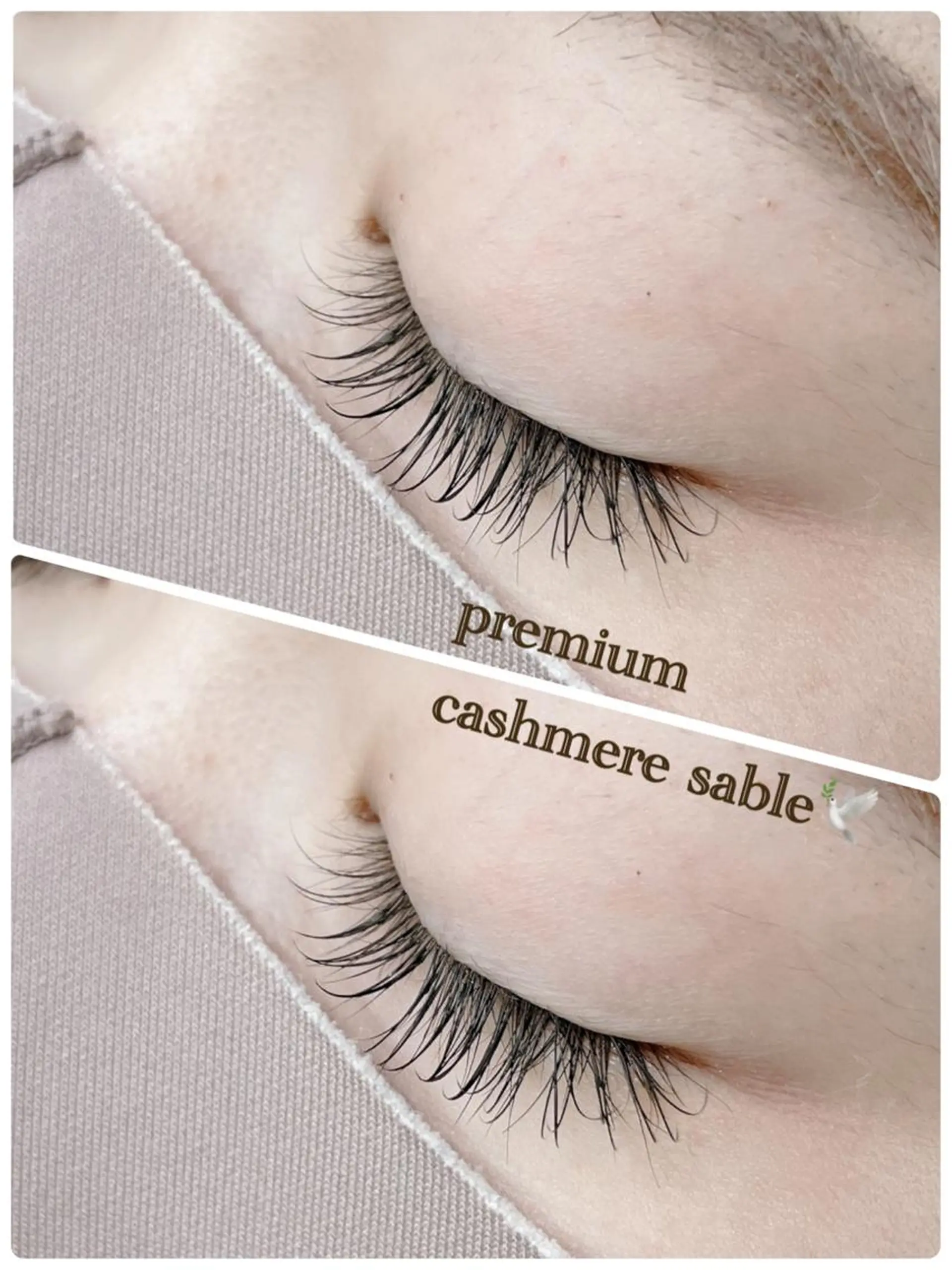 マツエク・マツパ WE RULE 札幌店 【ウィールール 札幌店】所属・✨️大人ショート 髙橋朋花のヘアスタイル