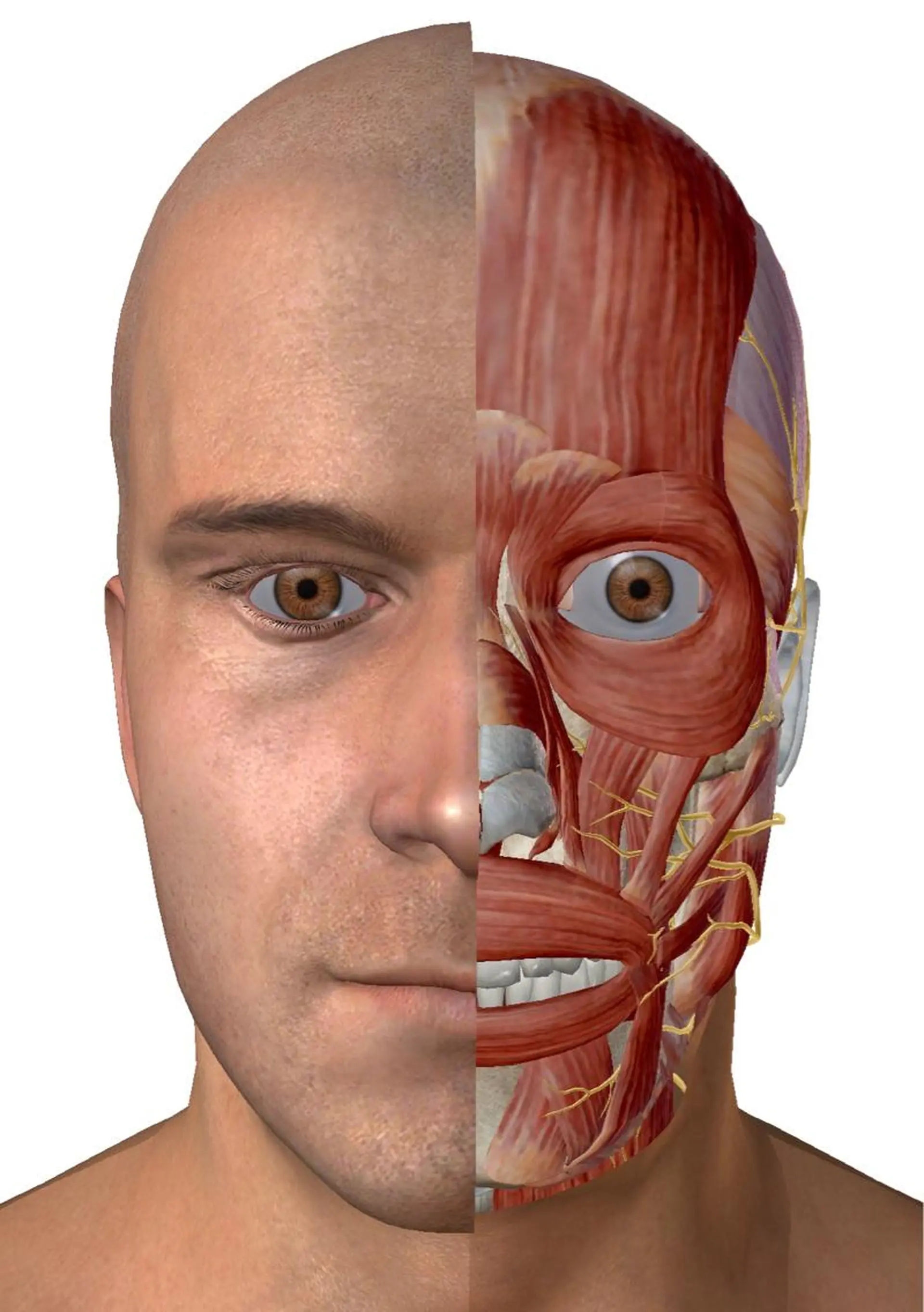 小林整骨院玉川 キジマのエステ・リラクイメージ