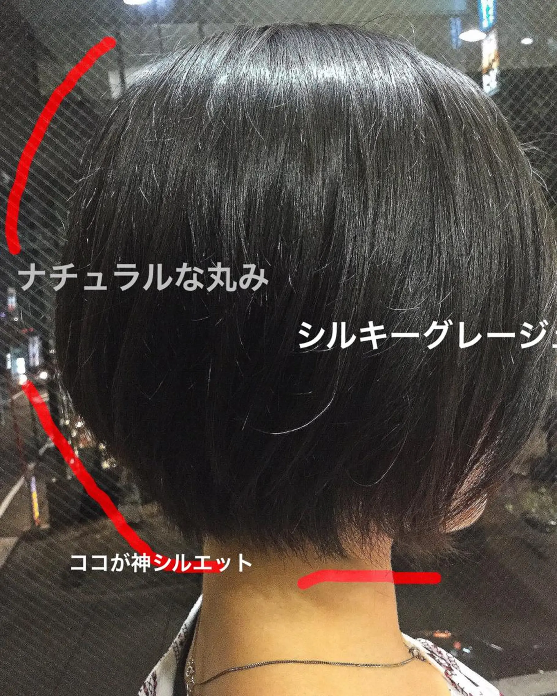 ショート カラー ショートヘア 手櫛でストレート/ 人生を変える美髪へのヘアスタイル