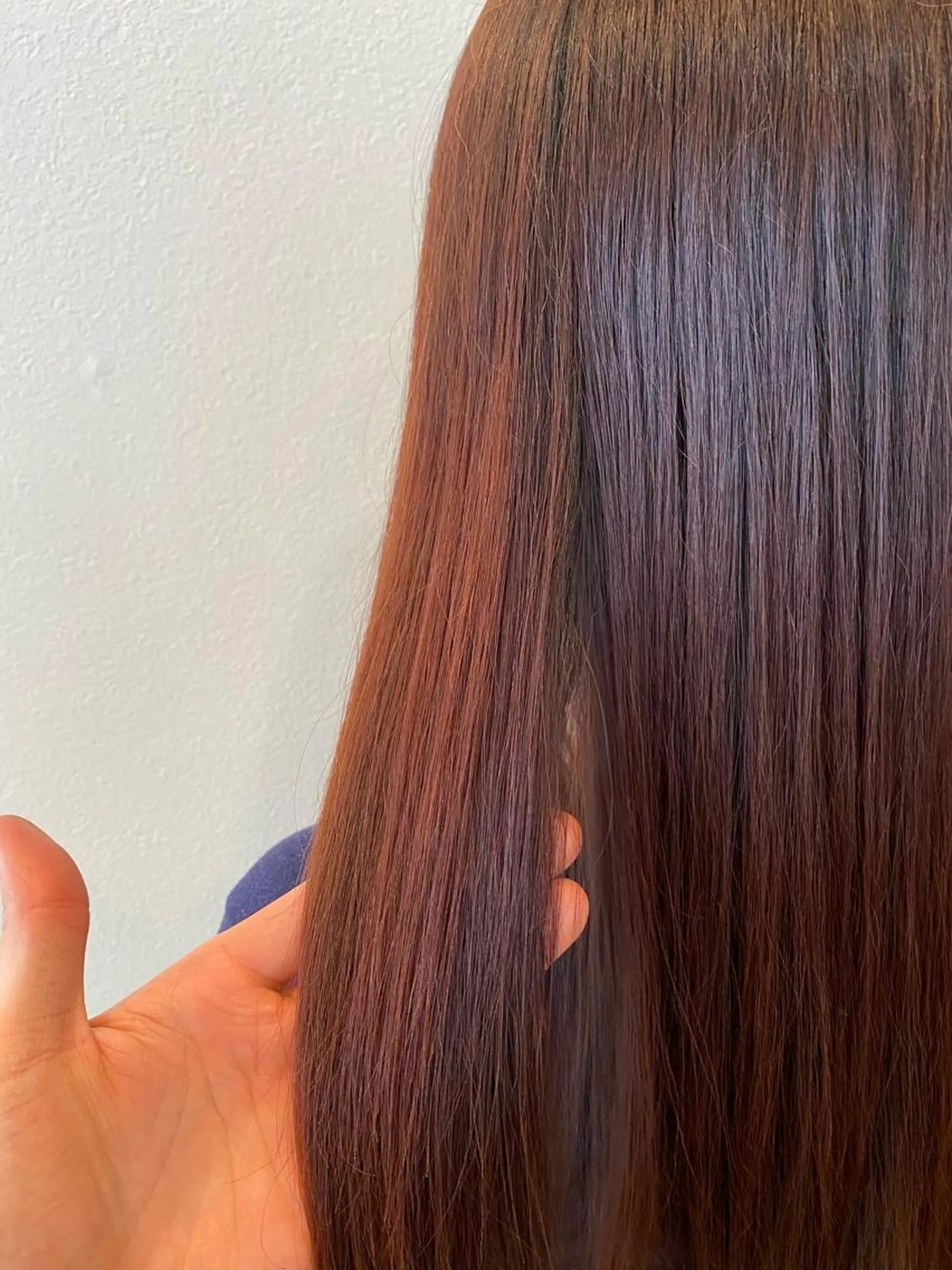 カラー ブラウンカラー レッドカラー 権 燦易のヘアスタイル