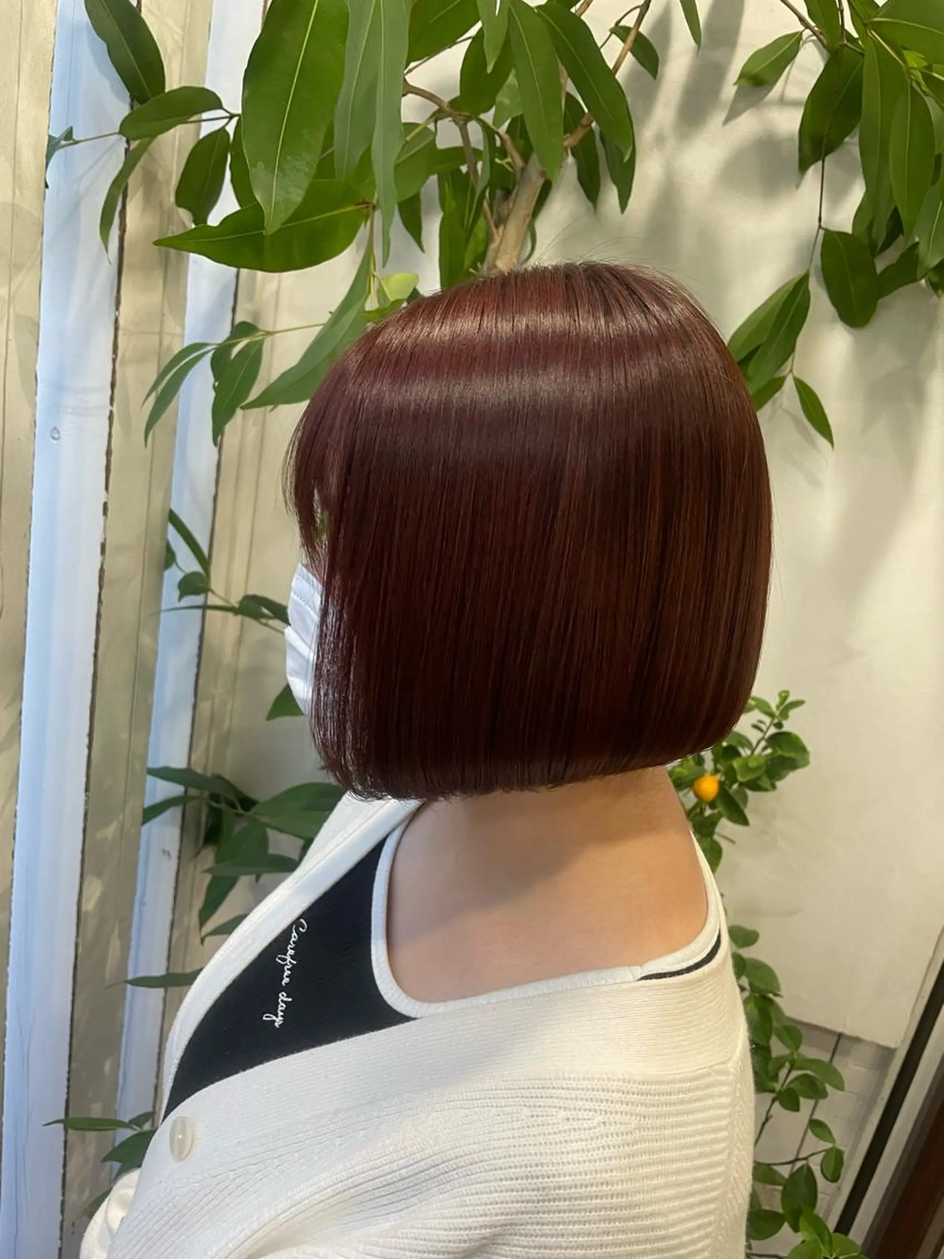 ショート カラー インナーカラー 🫧艶髪デザイナー 🫧白石航汰のヘアスタイル