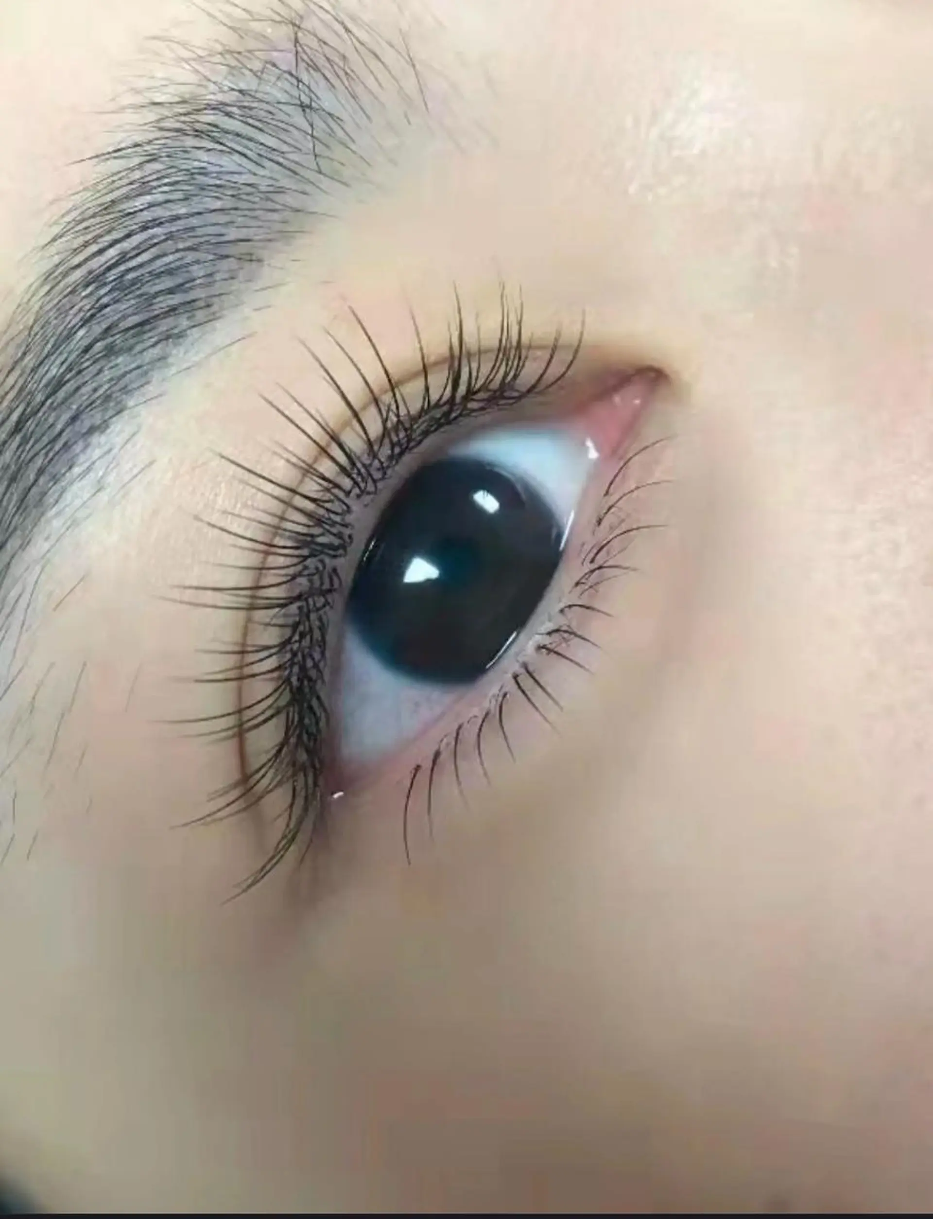 マツエク・マツパ Hera …のマツエク・マツパデザイン