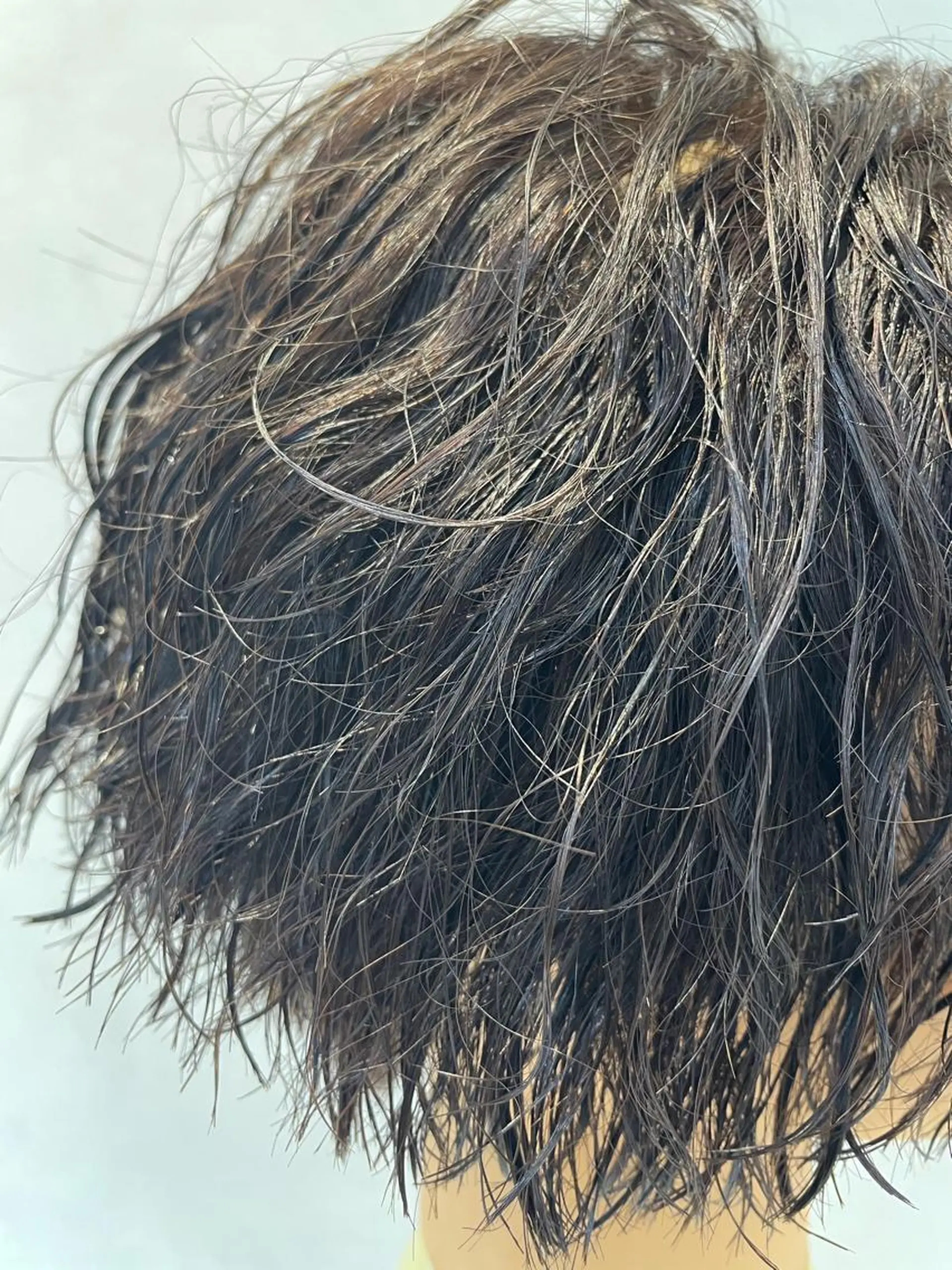 パーマ メンズ カット パーマ トリートメント ヘッドスパ 【店長】 草間大輔のヘアスタイル