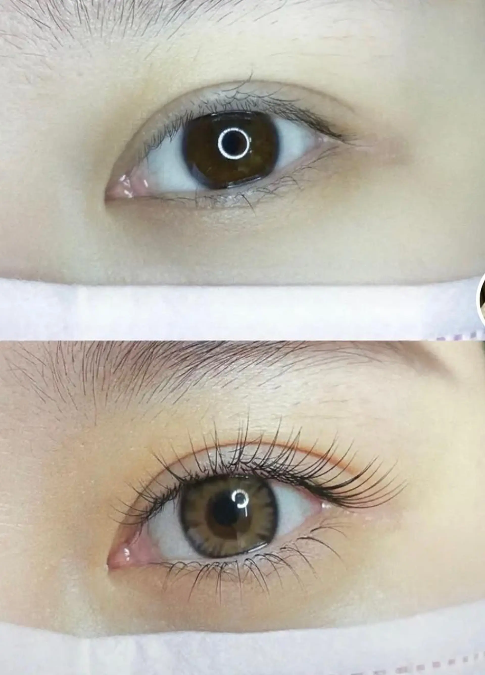 マツエク・マツパ マツエク yingsalon 🧚ゆうな🧚‍♂️のマツエク・マツパデザイン