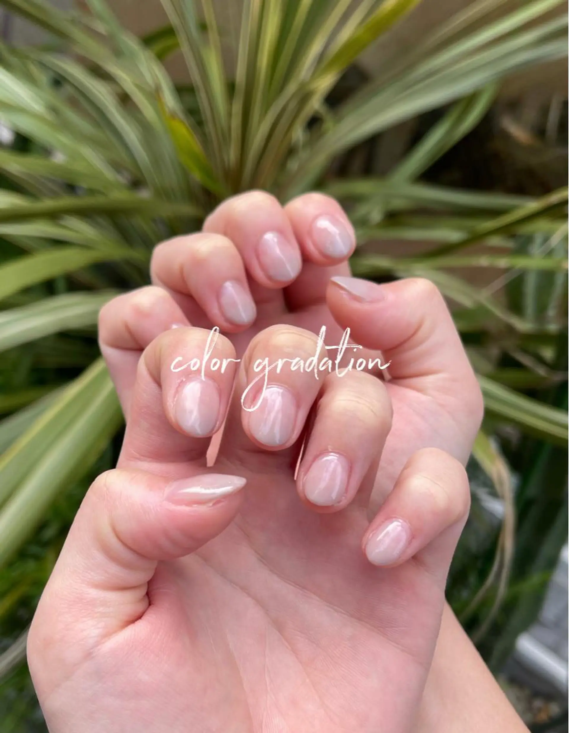 ネイル SATO .のマツエク・マツパデザイン