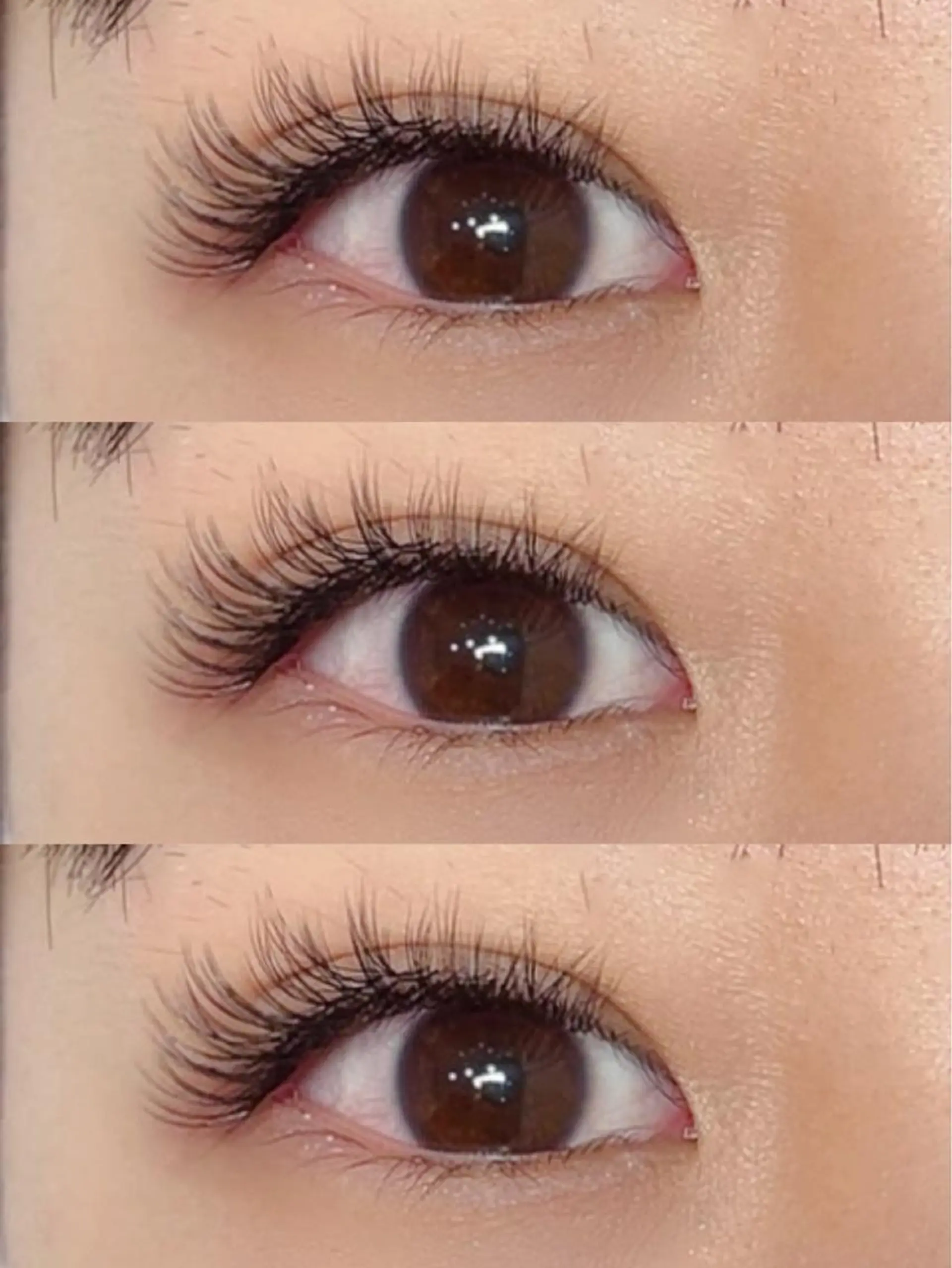 マツエク・マツパ Dカール ボリュームラッシュ ∩_∩アオイ eye lashのマツエク・マツパデザイン