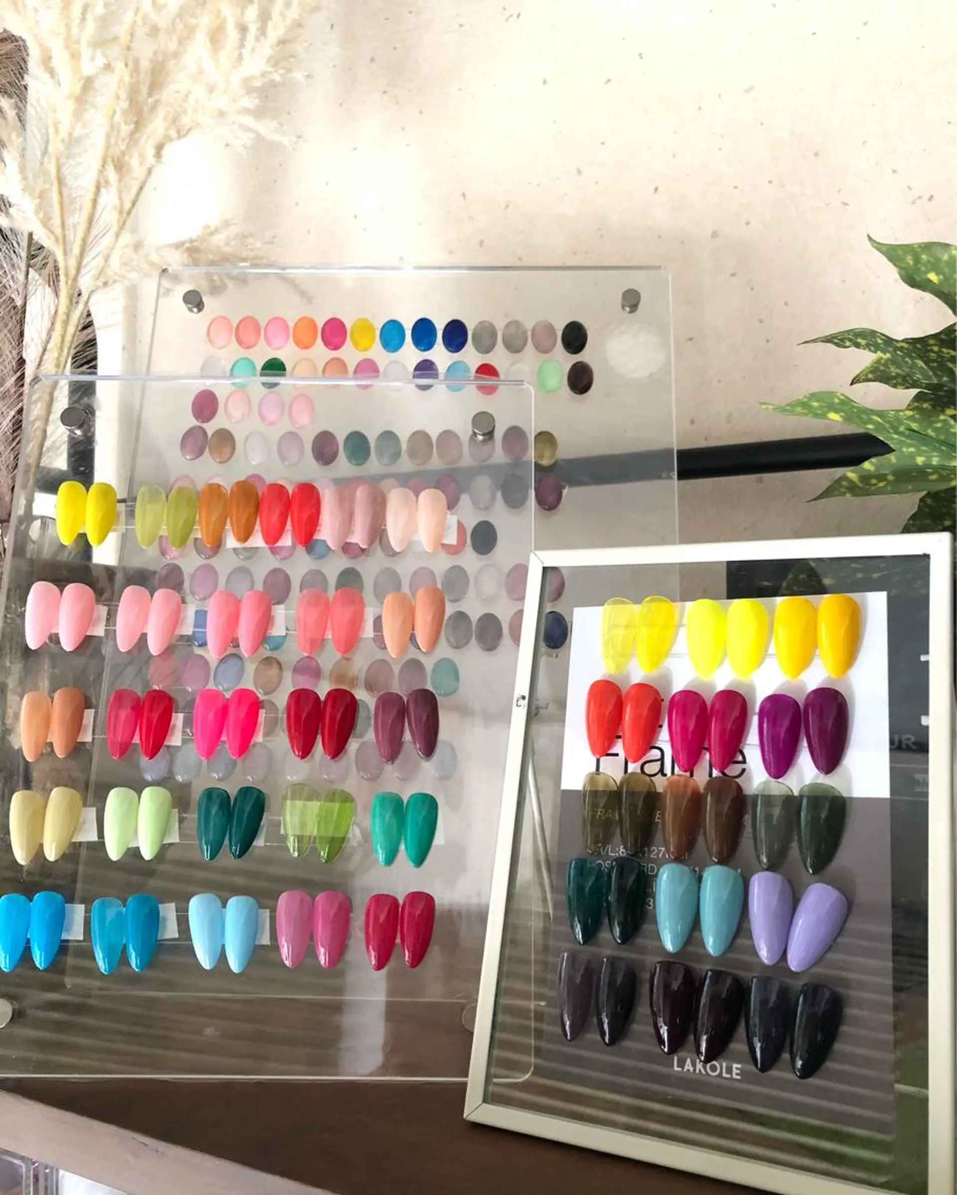カラー ネイル ワンカラーネイル 2dy所属・2DY NAIL SALONのネイルデザイン