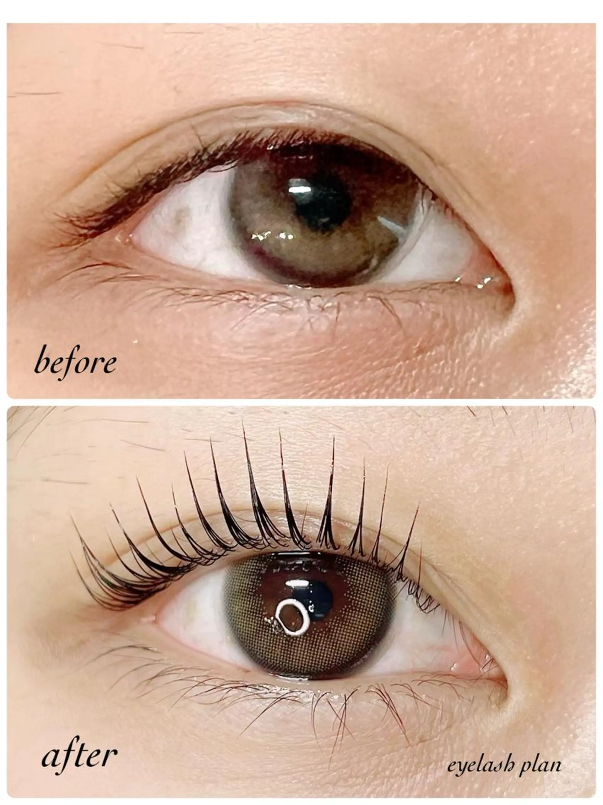 マツエク・マツパ マツパ eyelash plan api所属・【plan】 kaoriのマツエク・マツパデザイン