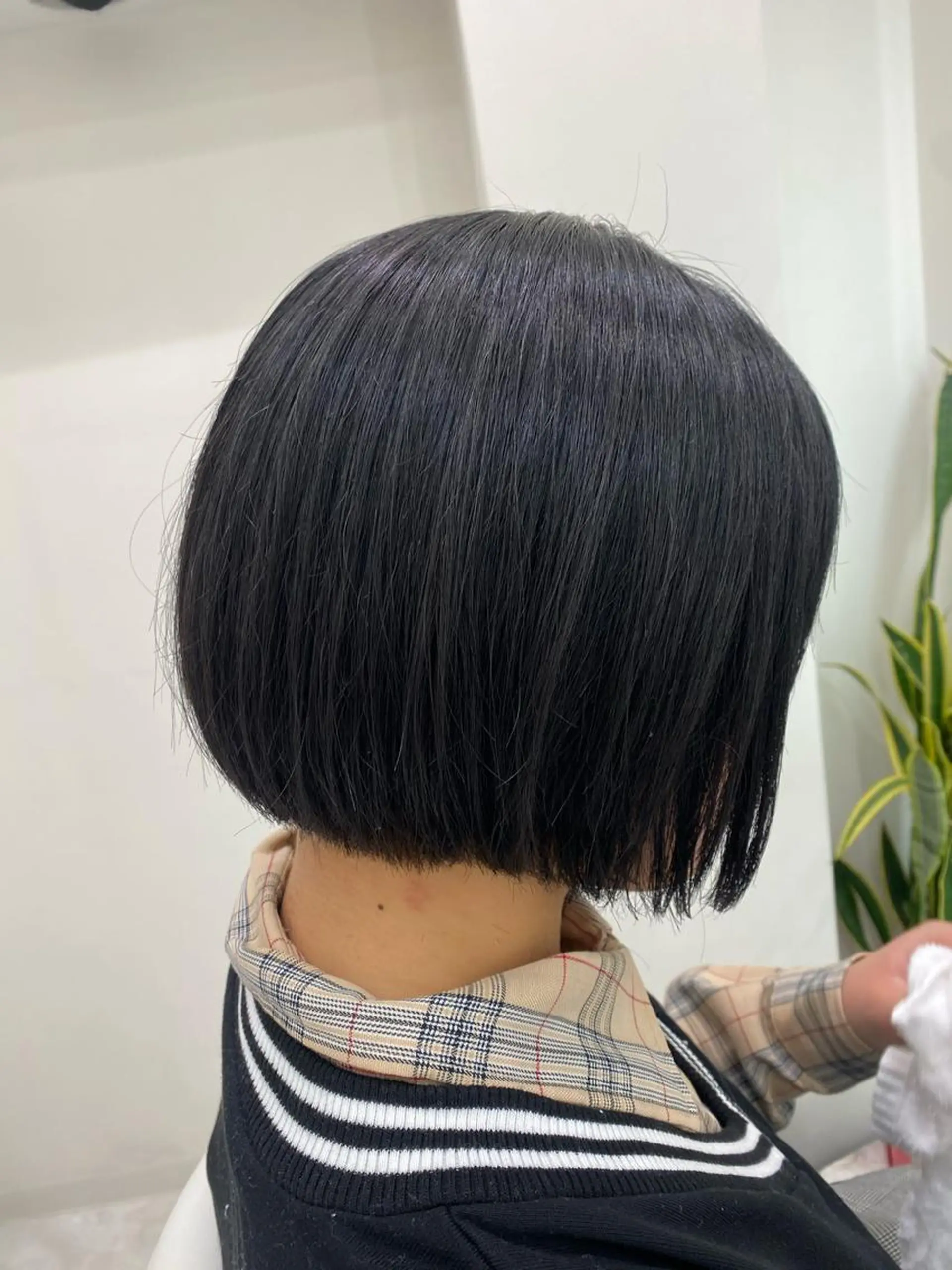 ショート カラー ボブ hair Freak所属・佐藤 祥太のヘアスタイル