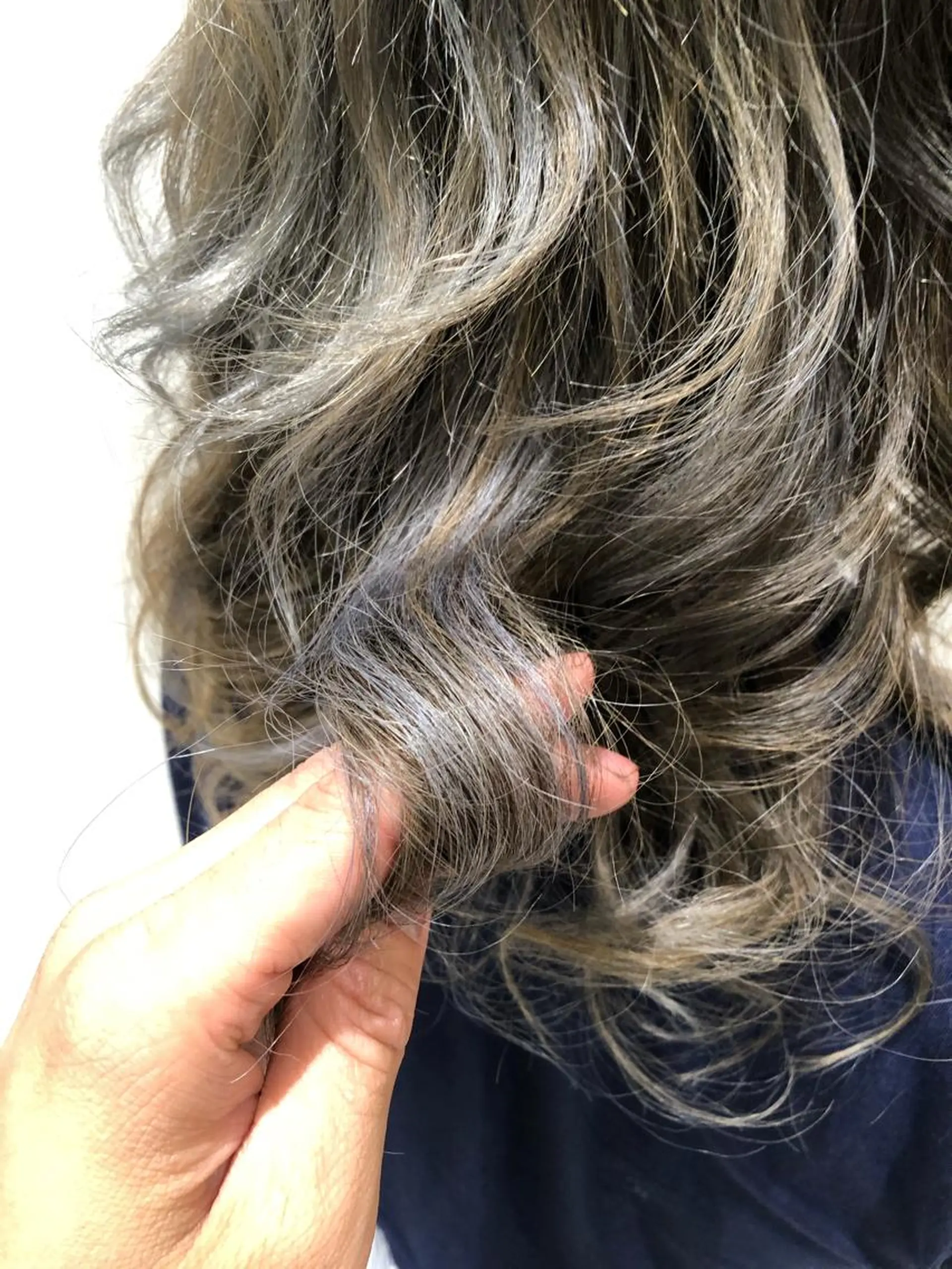 セミロング カラー ハイライトカラー ハイライト ヘアカラー トリートメント RUBEUS【ルベウス】所属・✨艶々カラー🎨 杉本賢人のヘアスタイル