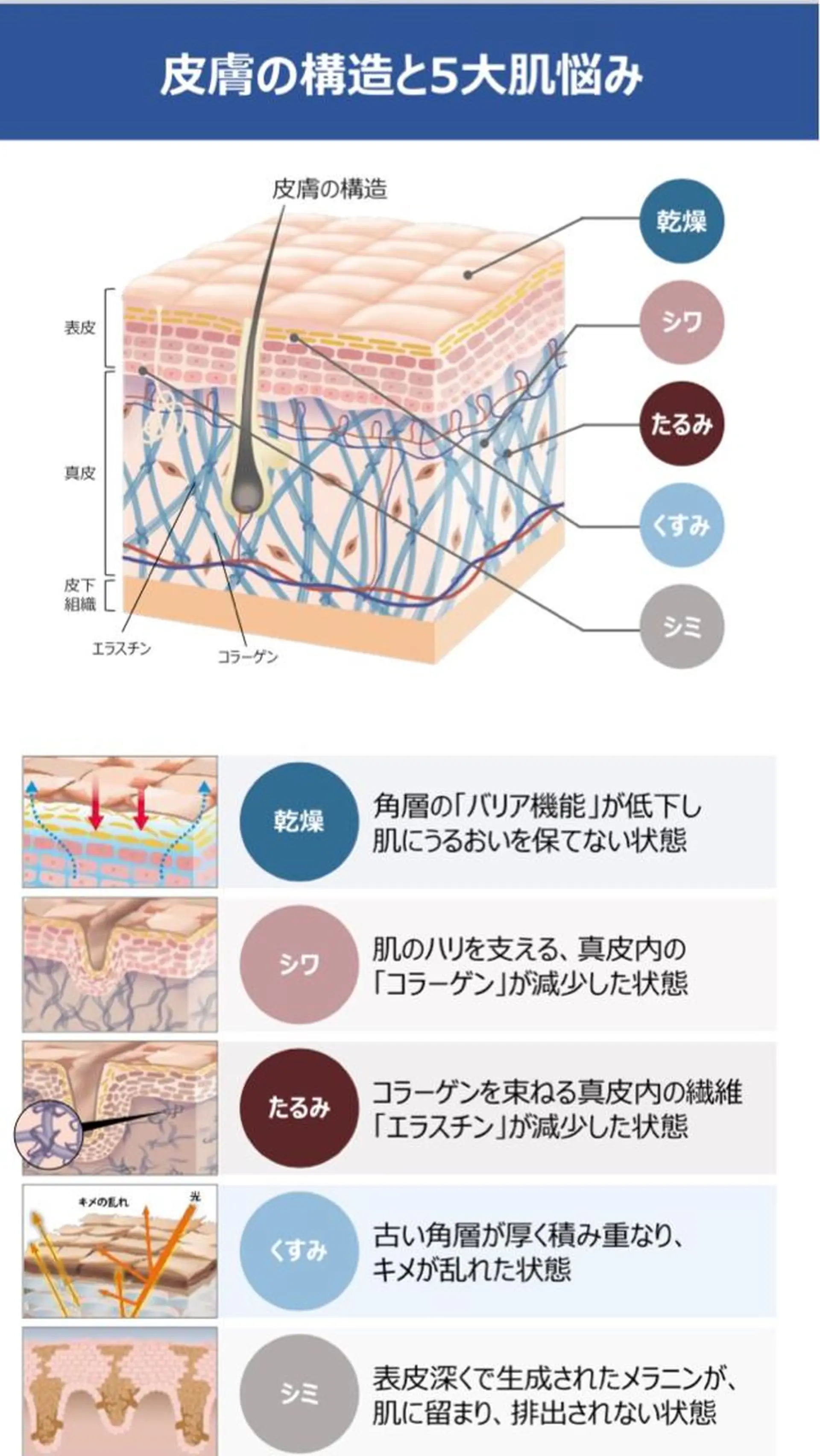 Ｂ&H所属・頭痛•肩こり専門/ 眉サロンB&H心斎橋のエステ・リラクイメージ