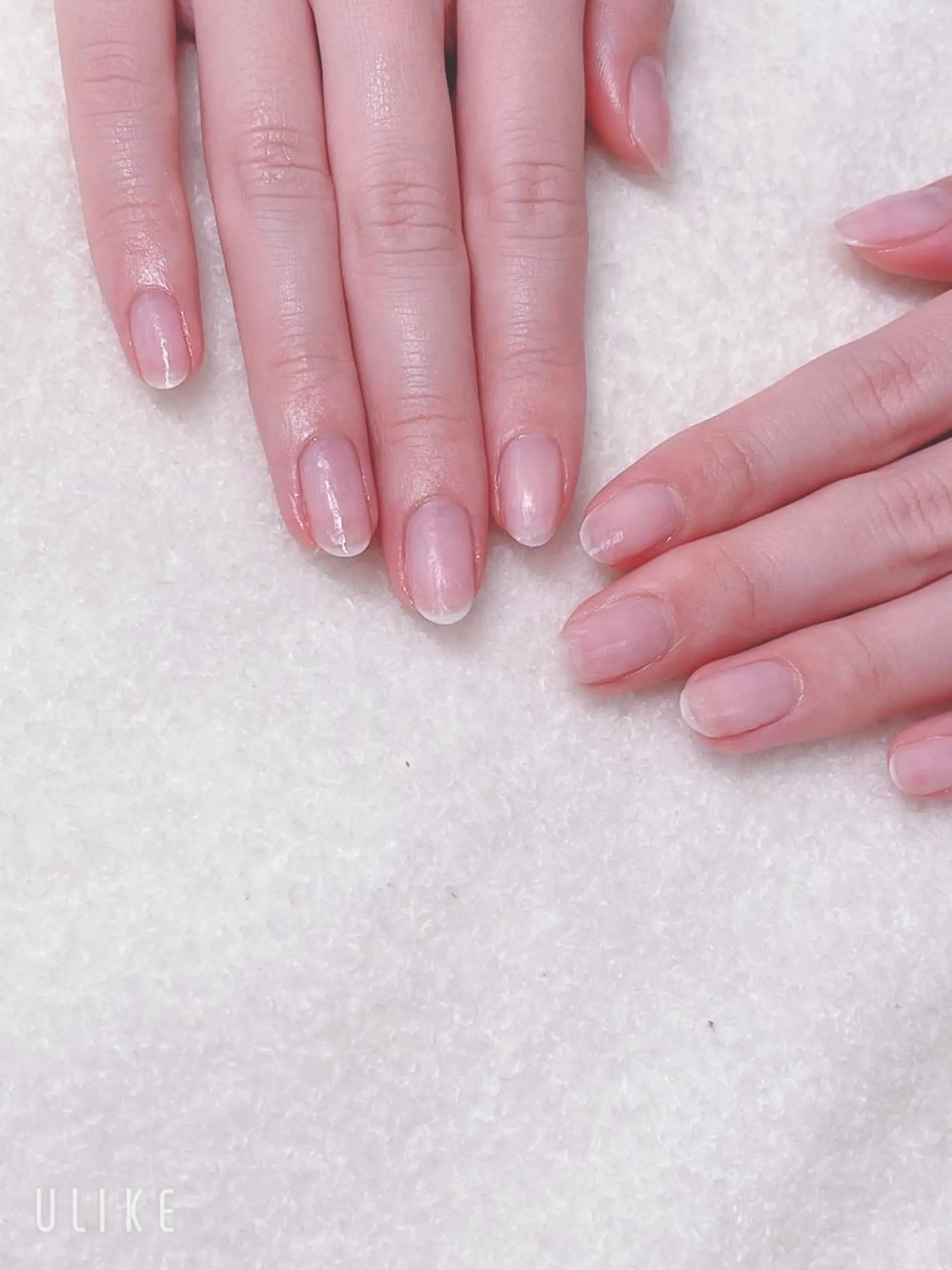 ネイル フレンチネイル ジェルネイル グラデーション ワンカラーネイル Som Bear所属・nail salon Som Bear🧸のネイルデザイン