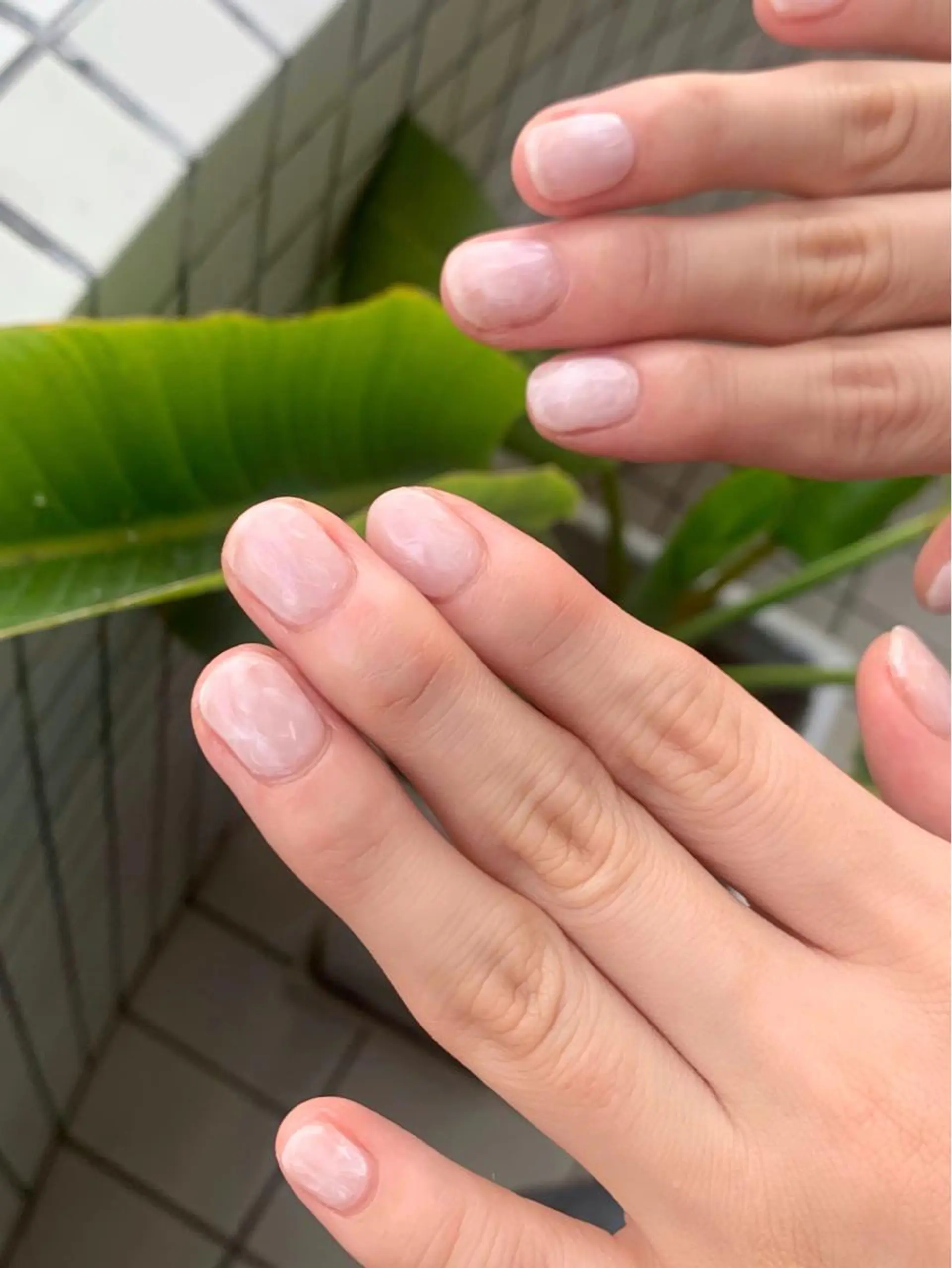 ネイル ホワイト ハンドネイル N.barber / koderaのネイルデザイン