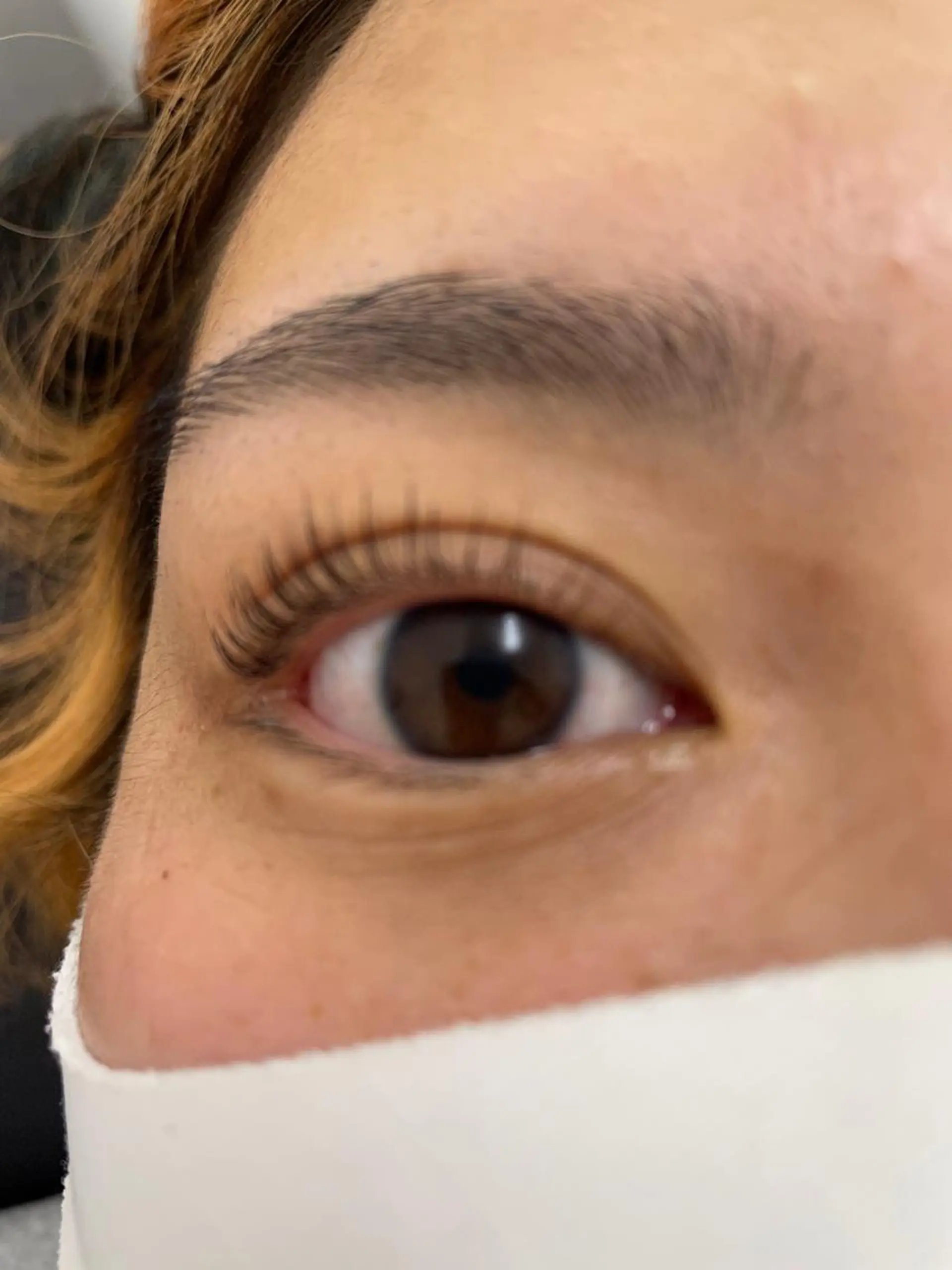 マツエク・マツパ パリジェンヌラッシュリフト hipahipa SAKIの眉毛・アイブロウイメージ