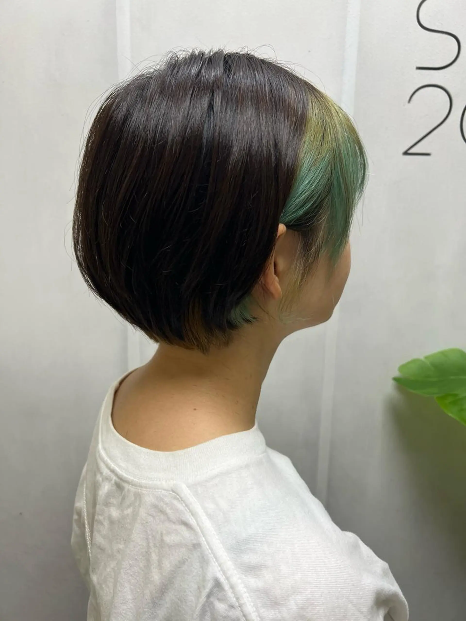 ミディアム カラー 🦋.*˚オタク美容 師アキバノノカ🦋のヘアスタイル