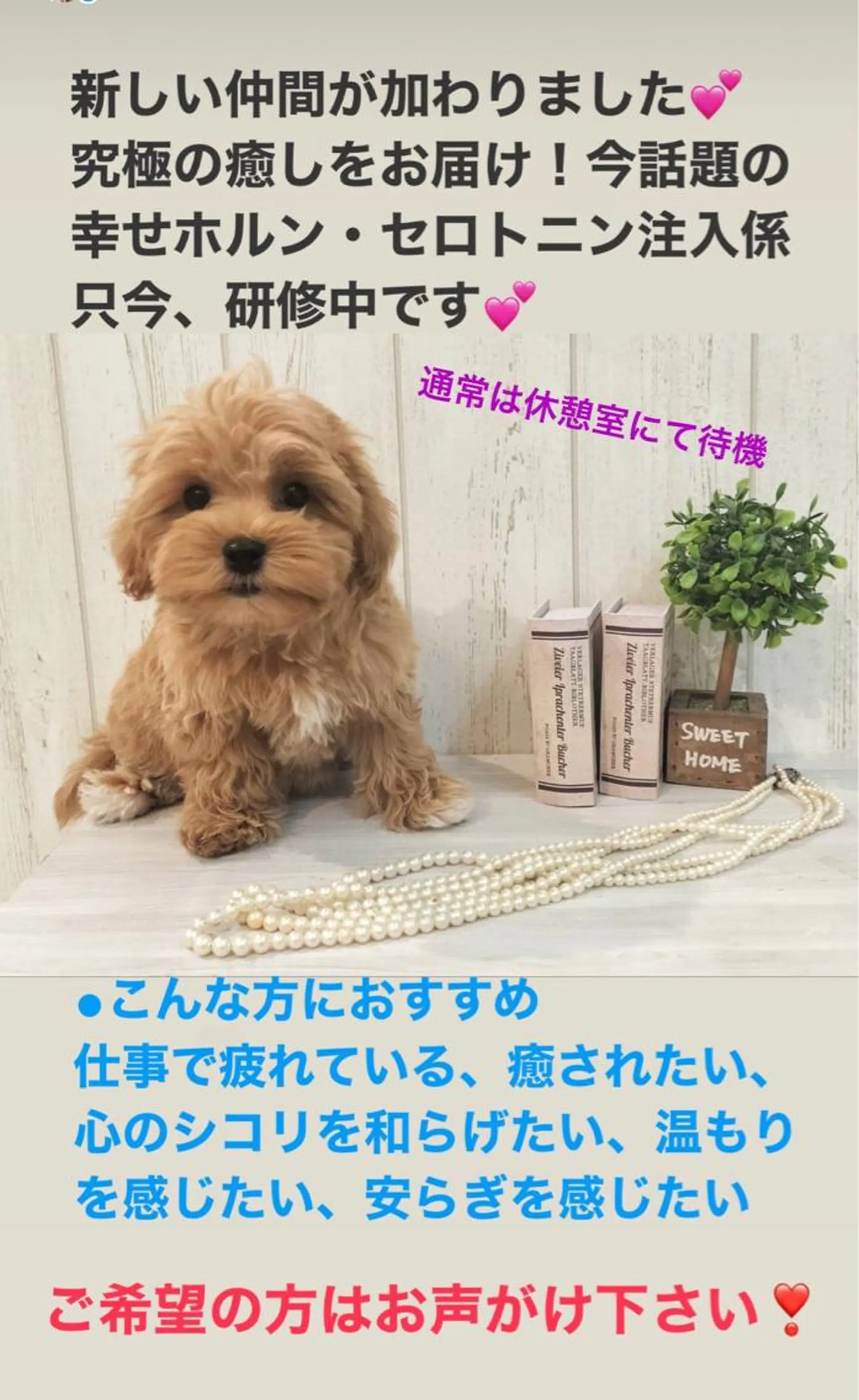 sincerely Nail&eyeのマツエク・マツパデザイン