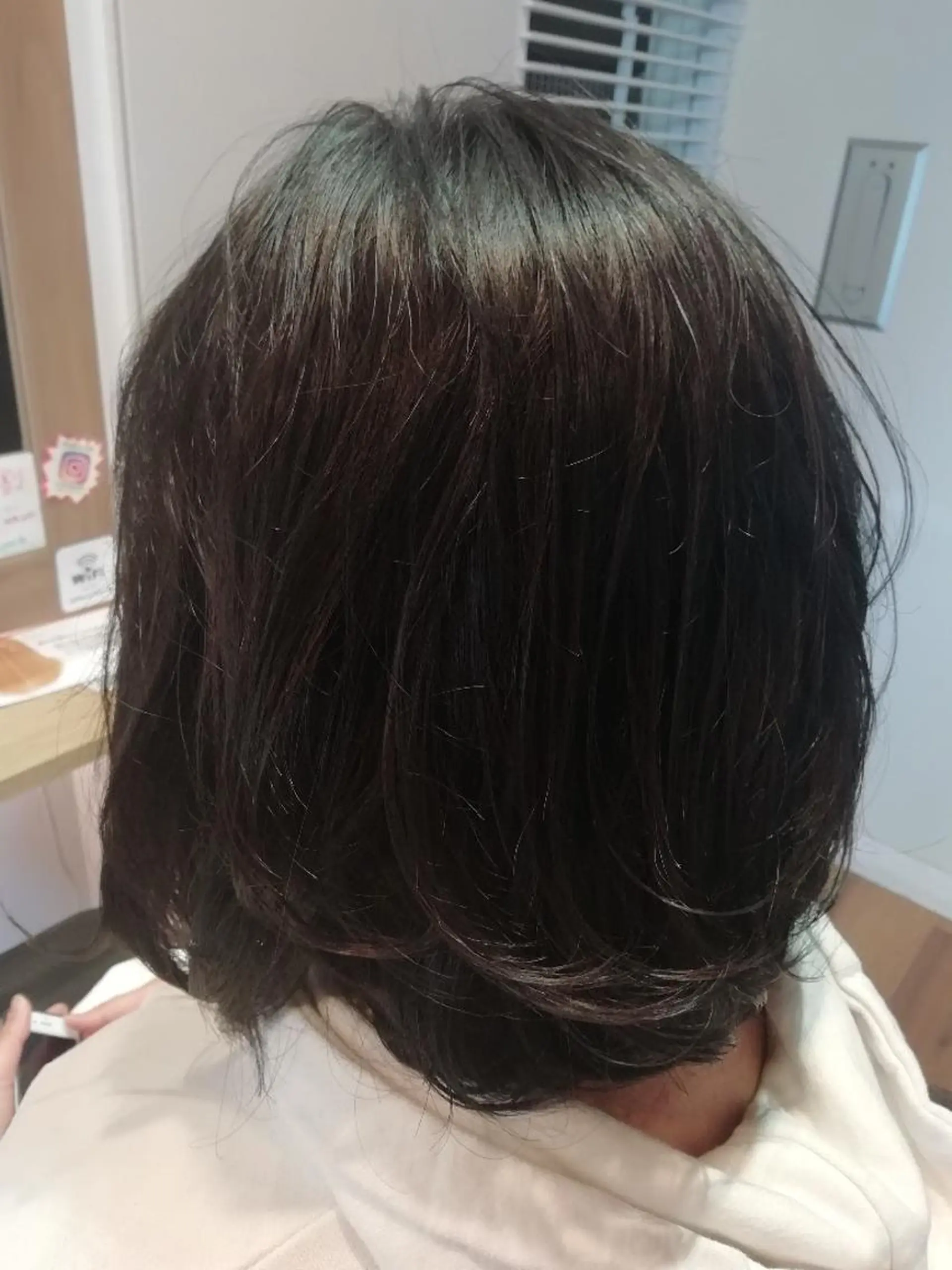カラー アッシュ アッシュグレー ピンクカラー 堀 望美のヘアスタイル