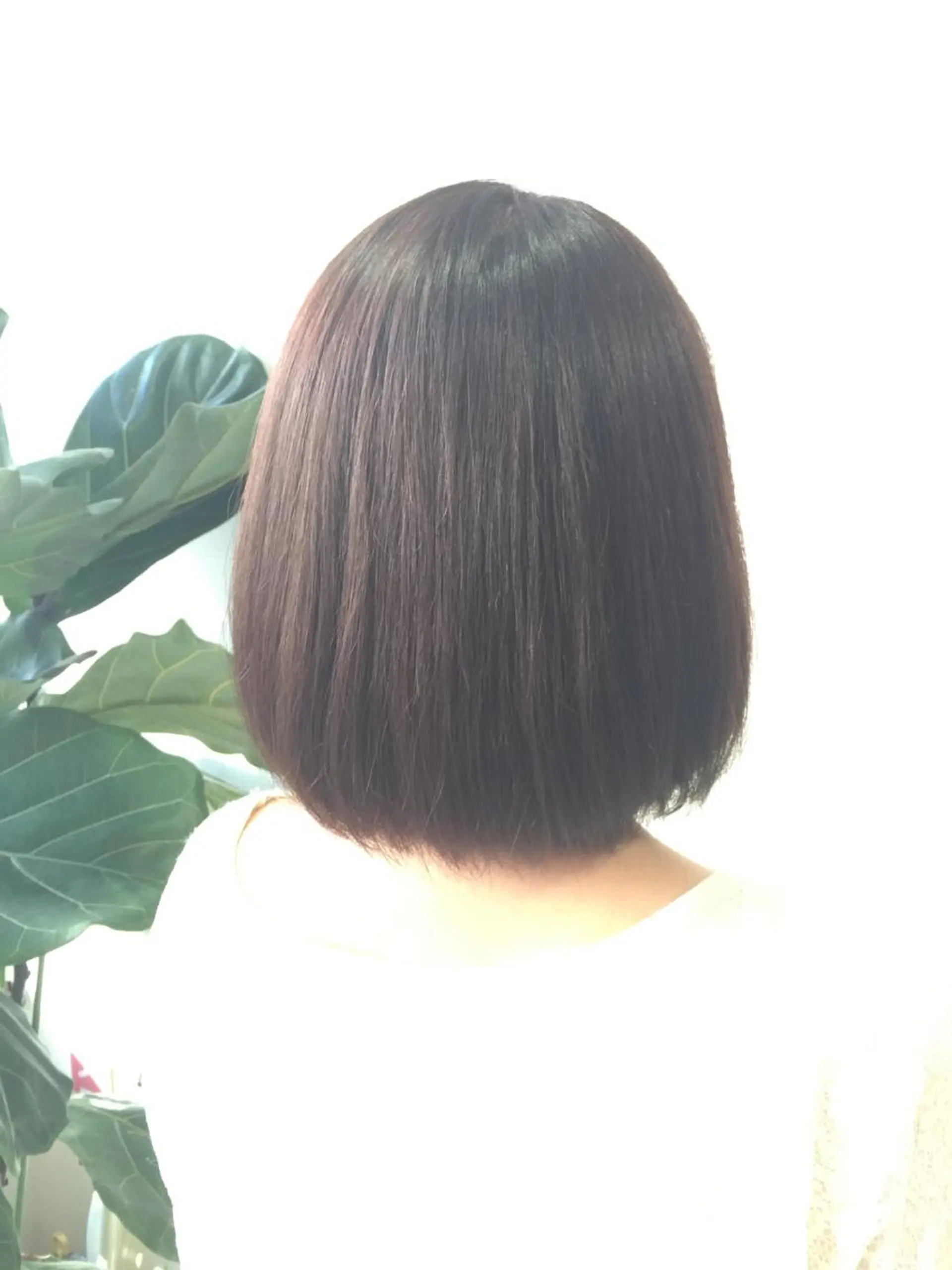 カラー イルミナカラー 💜ツヤヘアケア🩷 サトウシュンスケのヘアスタイル