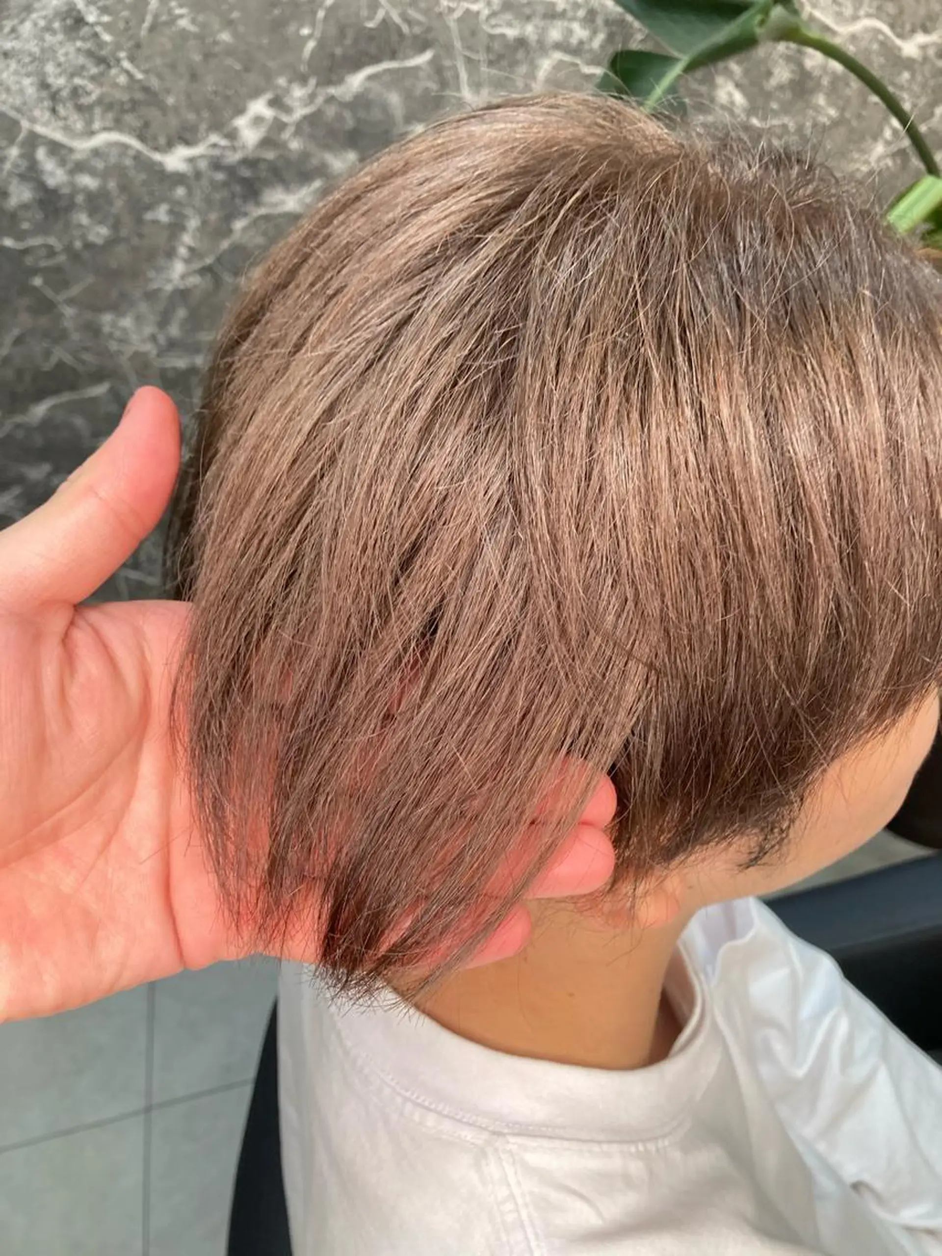 ショート カラー メンズ ベージュカラー 髪質改善/縮毛矯正/ 超高濃度水素ケアのヘアスタイル