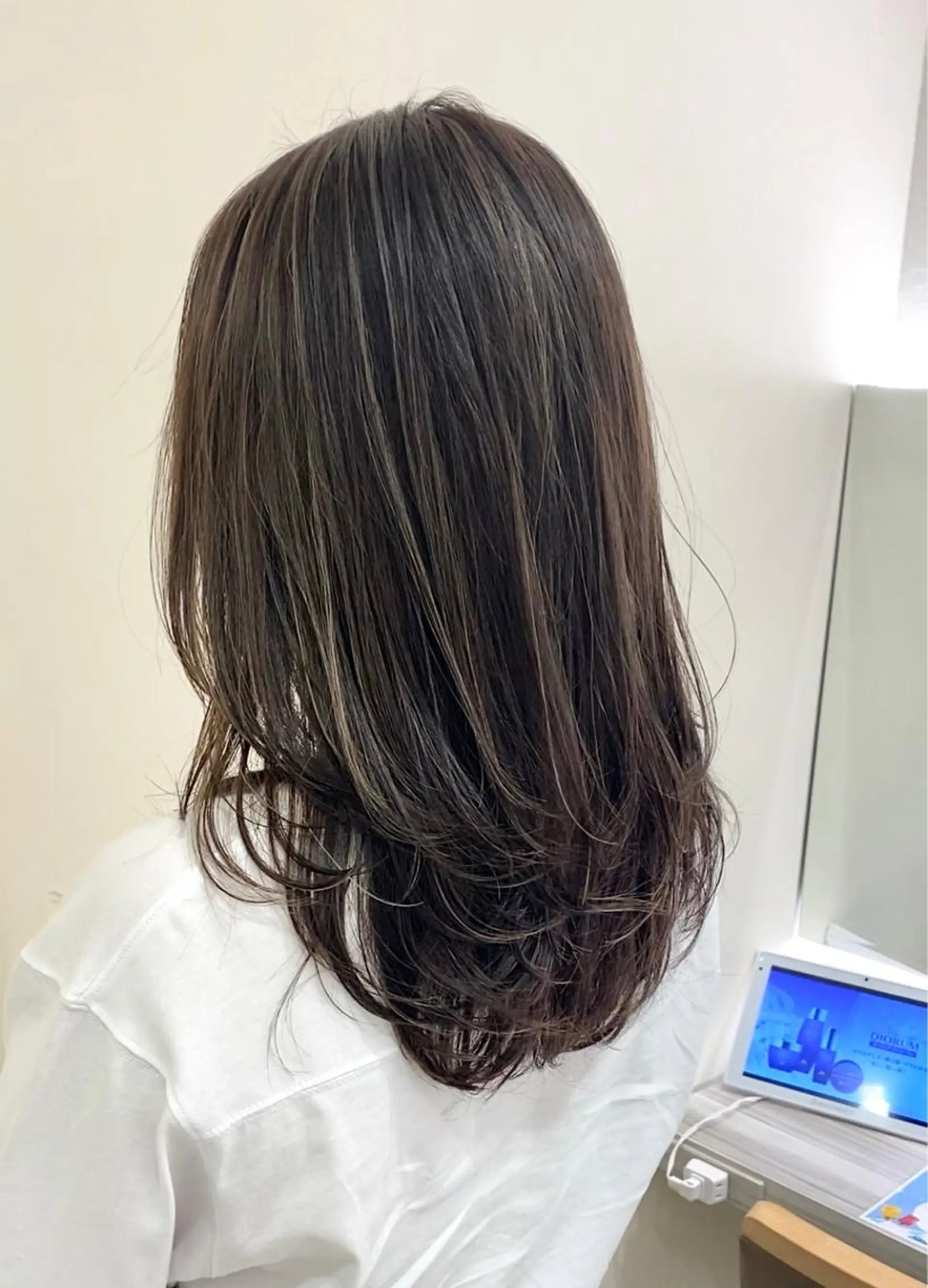セミロング ハイライト レイヤーカット カット ヘアカラー トリートメント プレイングカラー🤍 細めハイライトのヘアスタイル