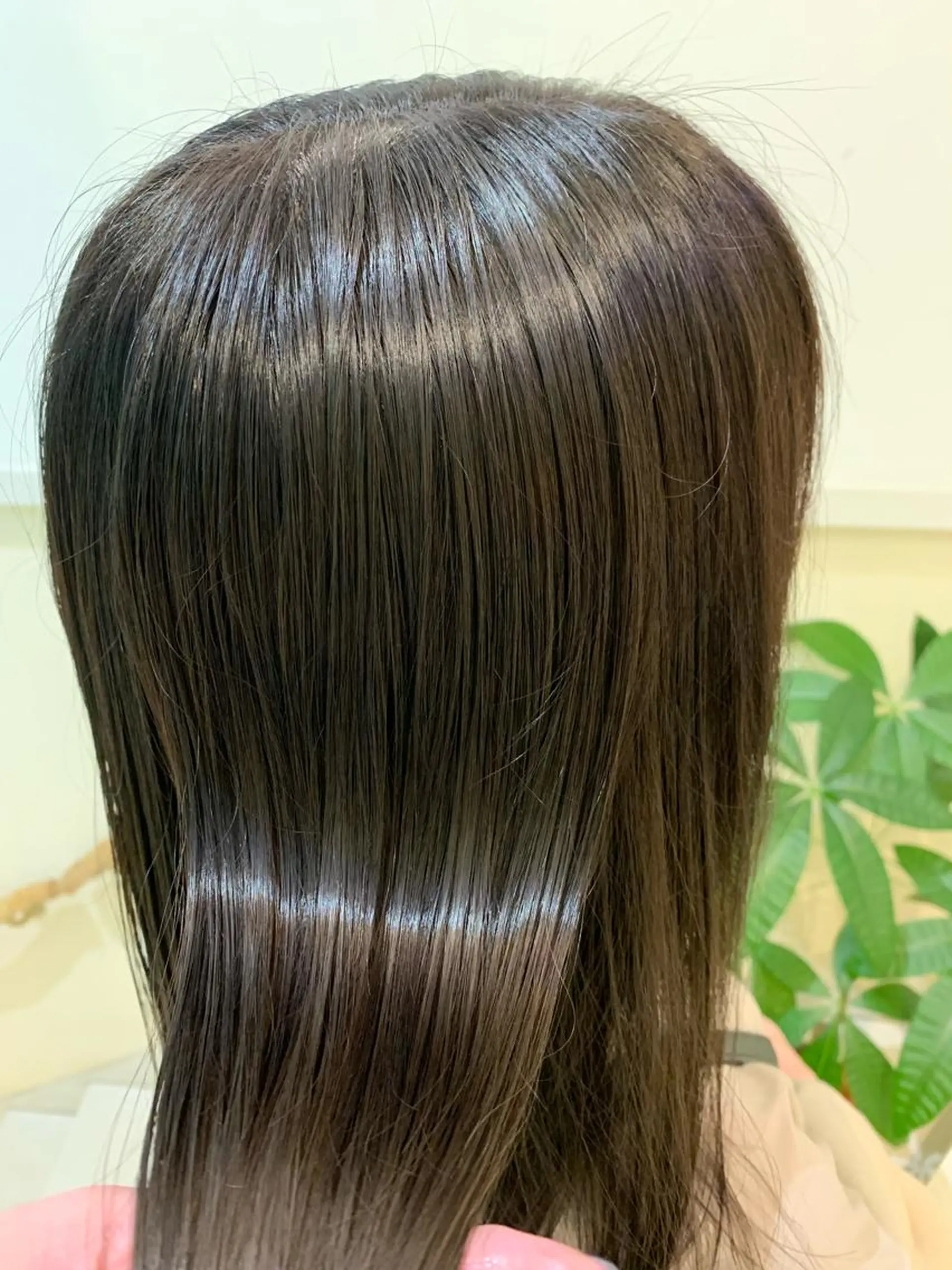 セミロング カラー ブリーチしない暖色 カラー🥀杉 優菜のヘアスタイル