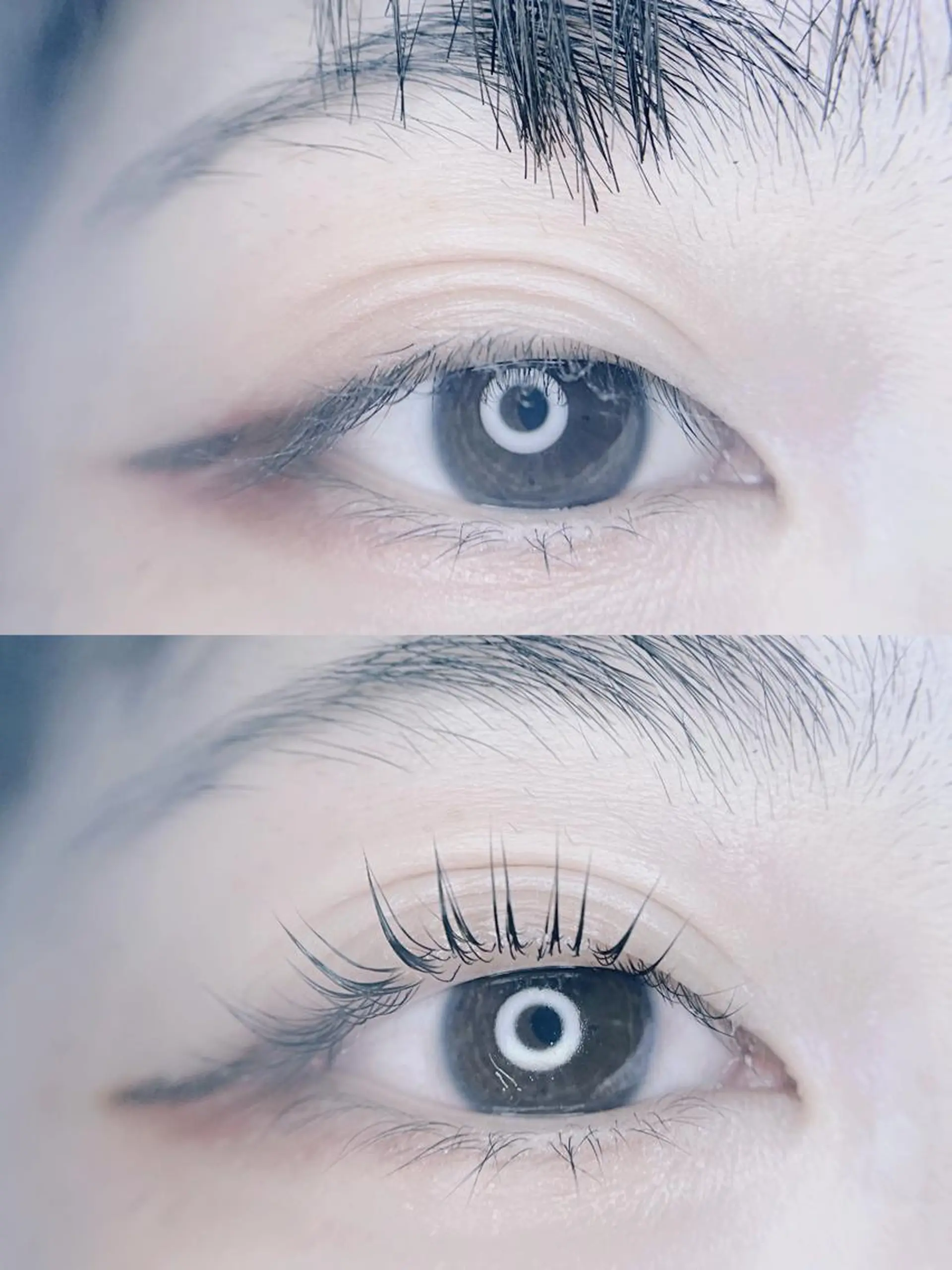 マツエク・マツパ foisalon 大久保店のマツエク・マツパデザイン