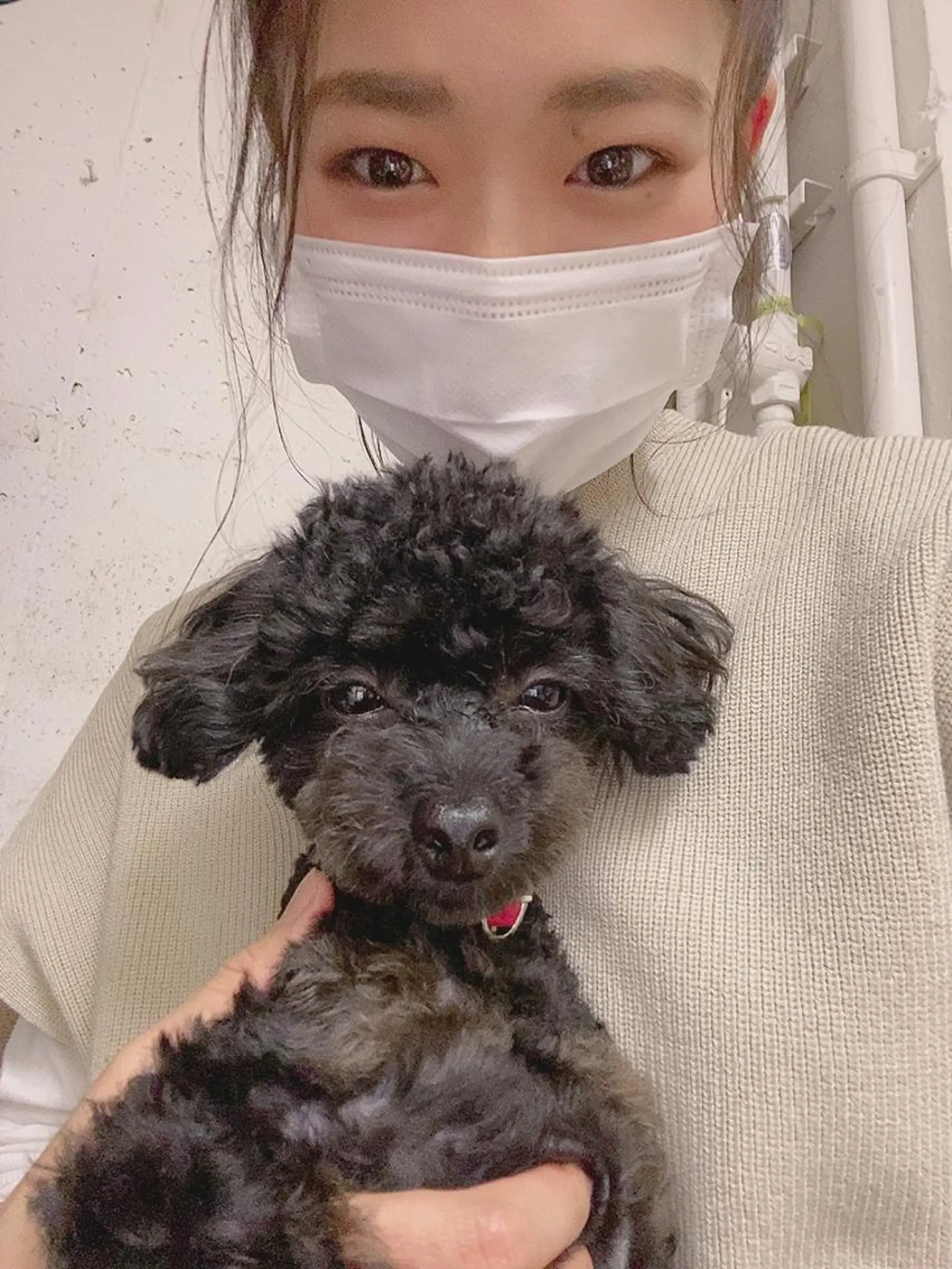 ショート カラー パーマ ヘアアレンジ メンズ ヘッドスパ CHIC share salon所属・ちこ .のヘアスタイル