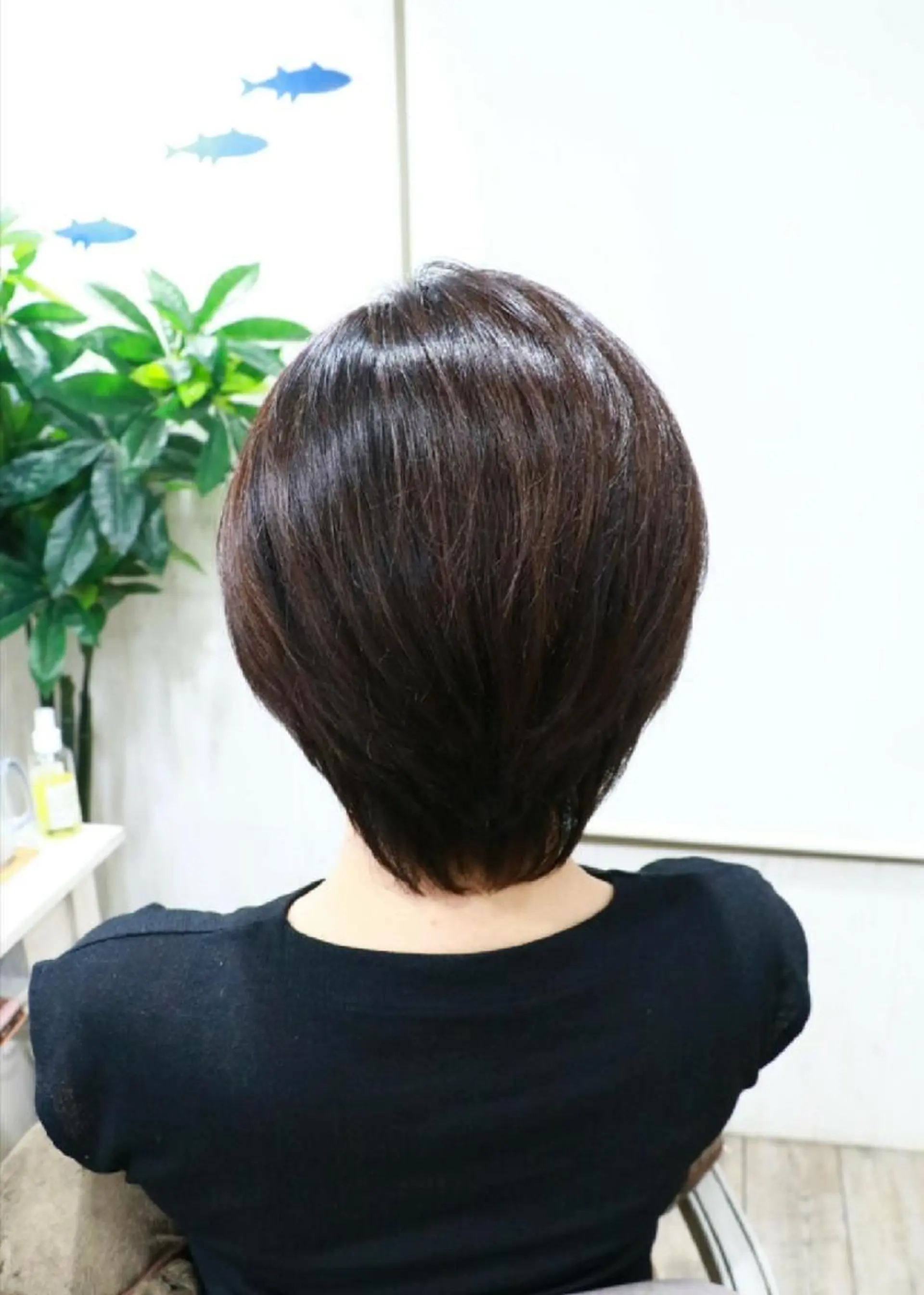 ショート little 柏 【リトルカシワ】所属・フジタミキ ✨メテオ TR、ヘッドスパのヘアスタイル