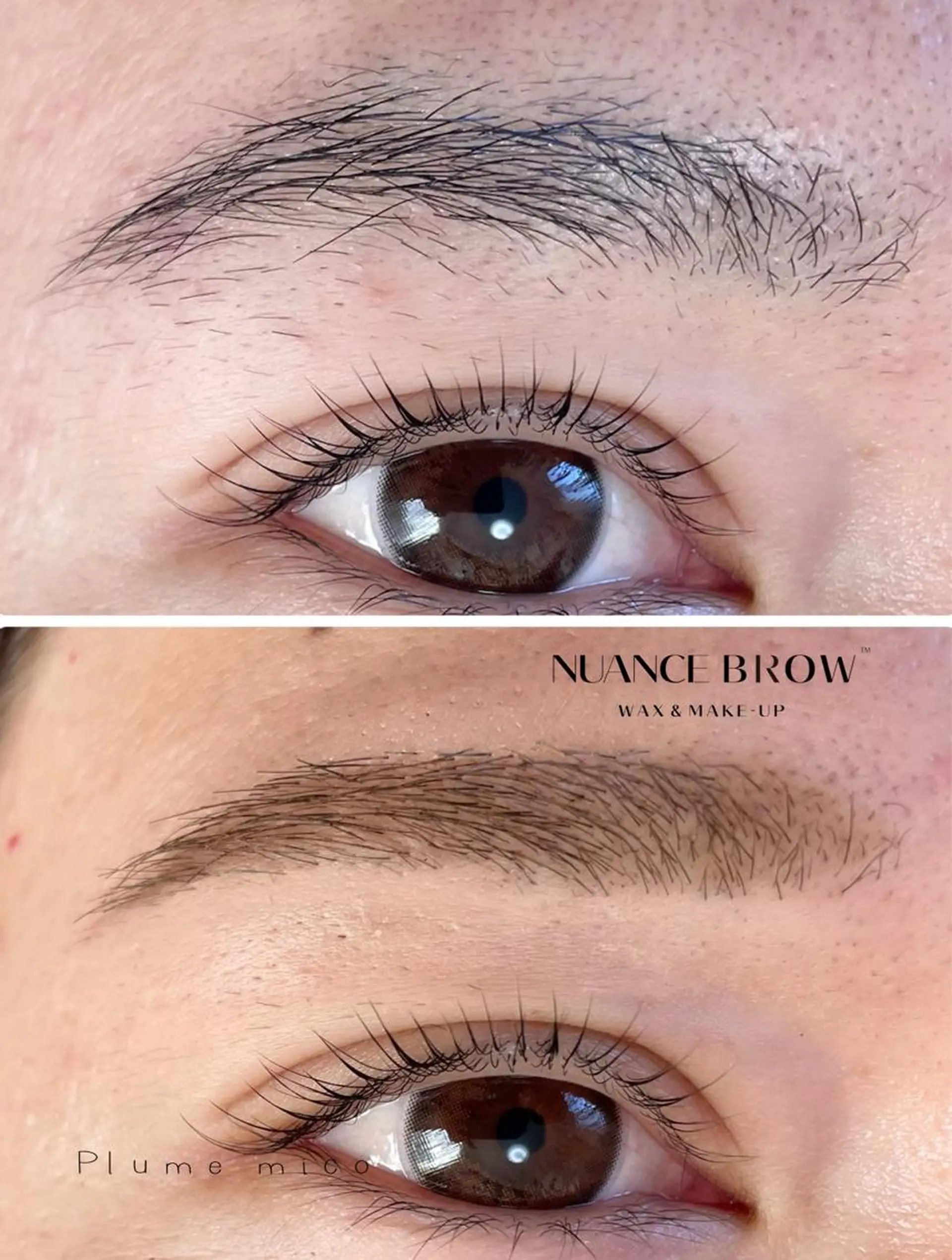 アイブロウ ワックス脱毛 Plume micoのマツエク・マツパデザイン