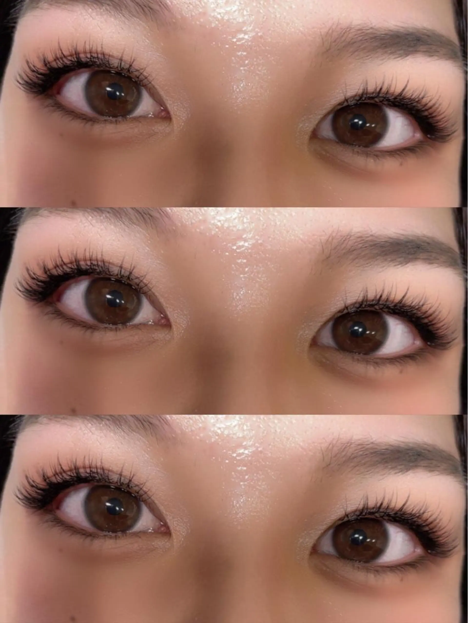 マツエク・マツパ Dカール セーブル ∩_∩アオイ eye lashのマツエク・マツパデザイン