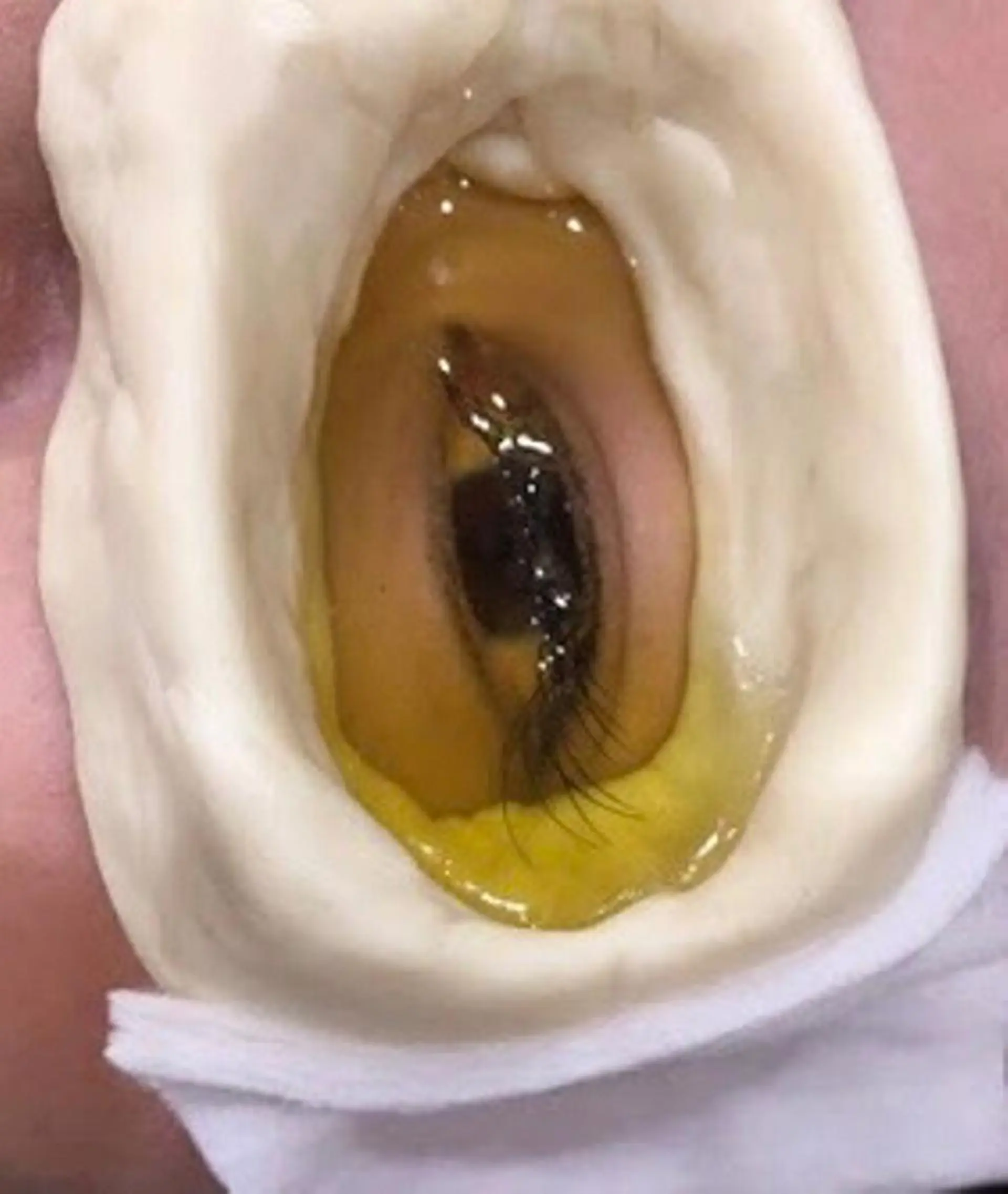 セミロング カラー パーマ ヘアアレンジ メンズ キッズ ネイル マツエク・マツパ 銀河 ティンガーラのヘアスタイル