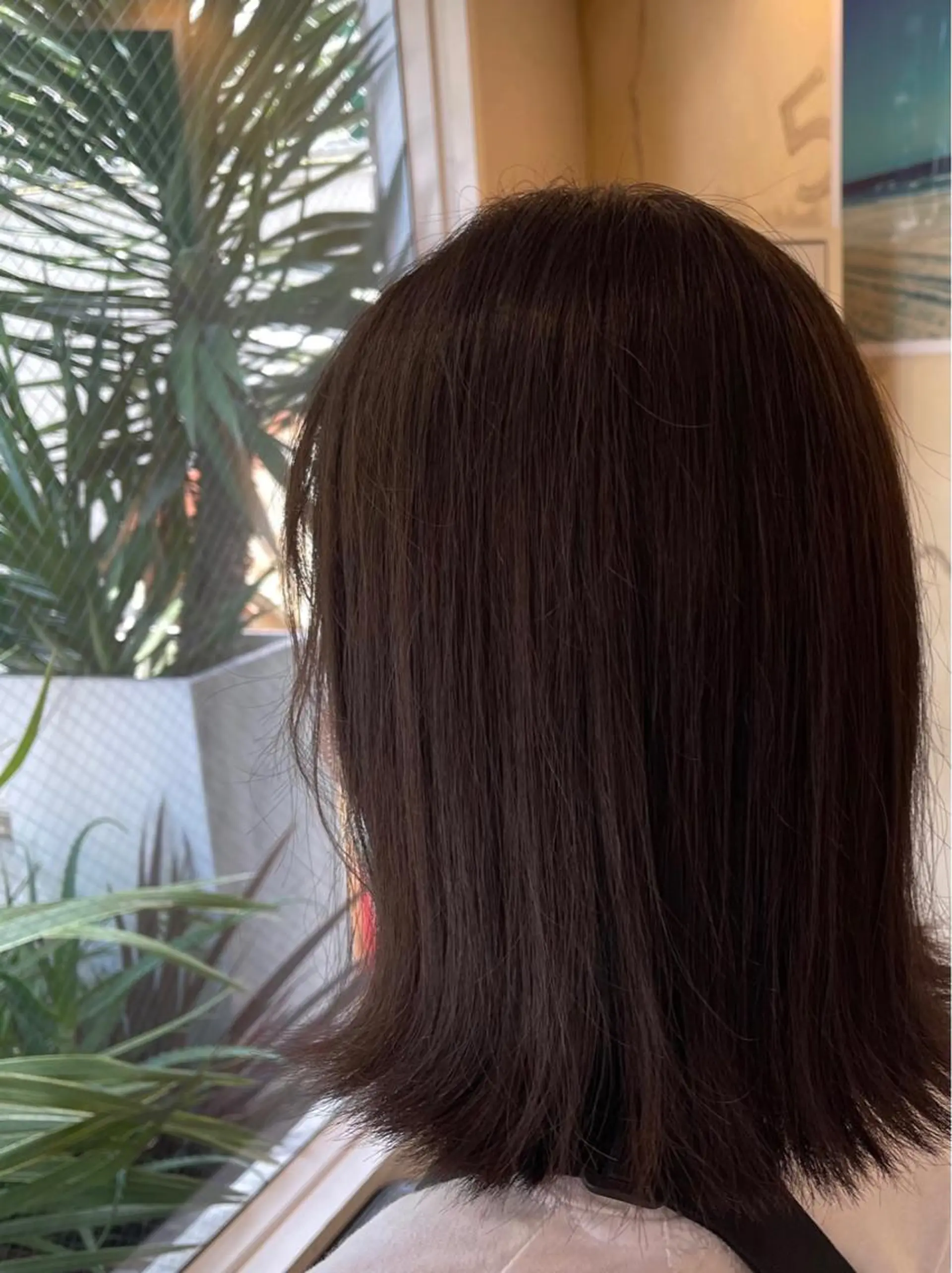 ミディアム カラー SATO .の眉毛・アイブロウイメージ