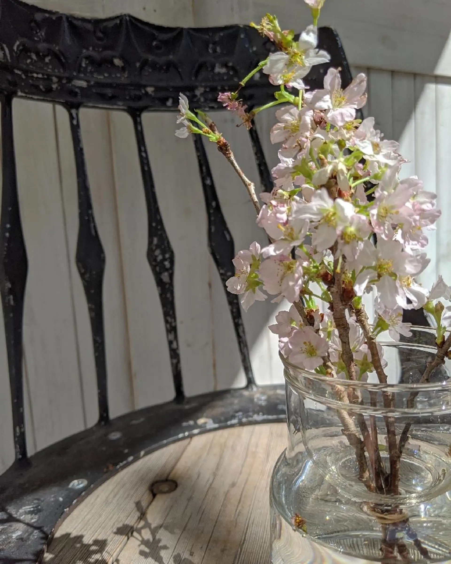 セミロング ヘアアレンジ カラー ヘアカラー 縮毛矯正 トリートメント 南堀江 möwen ( メーヴェ )所属・mowen RUIのヘアスタイル