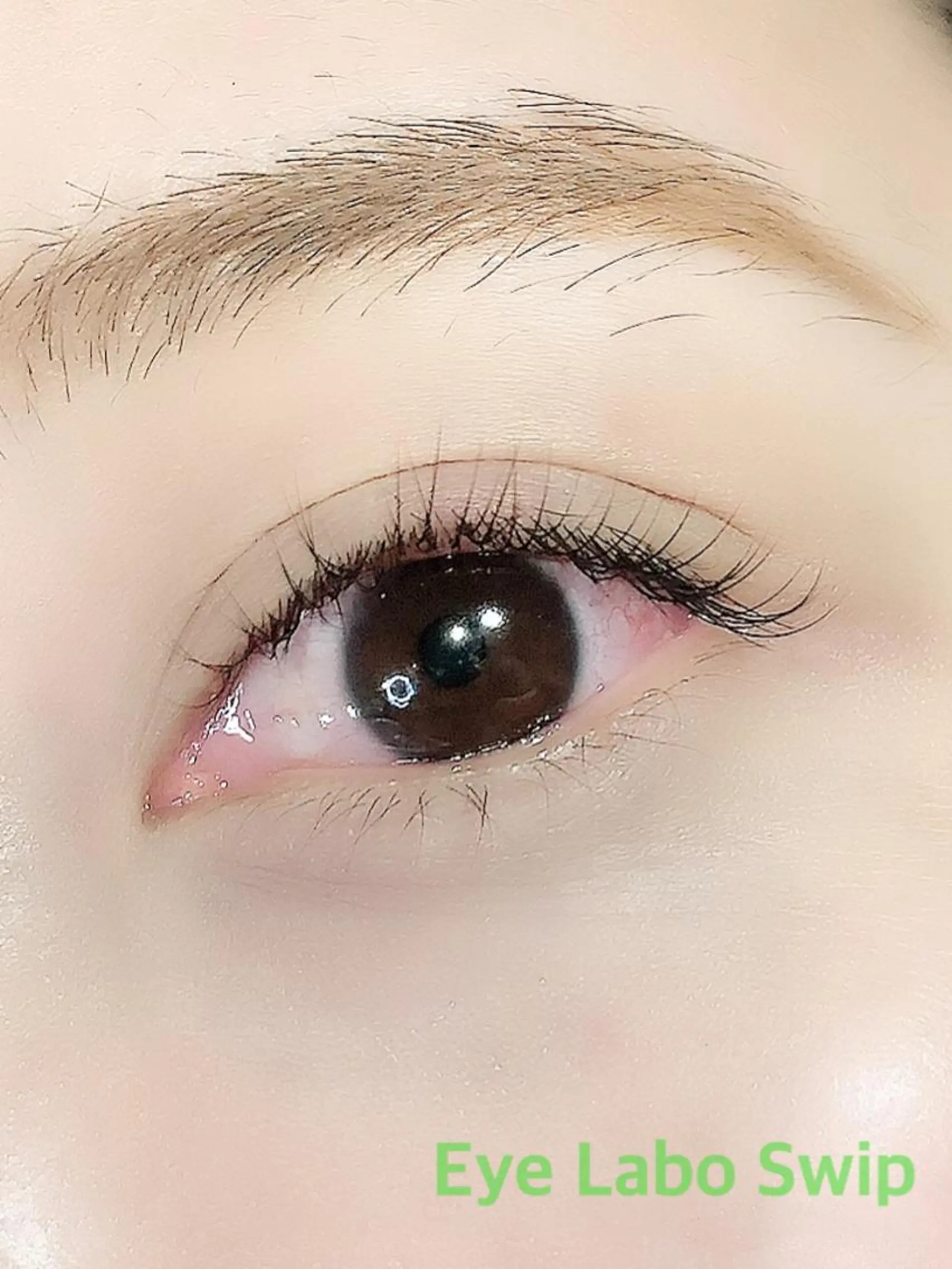 マツエク・マツパ セーブル Eye Labo Swipのマツエク・マツパデザイン