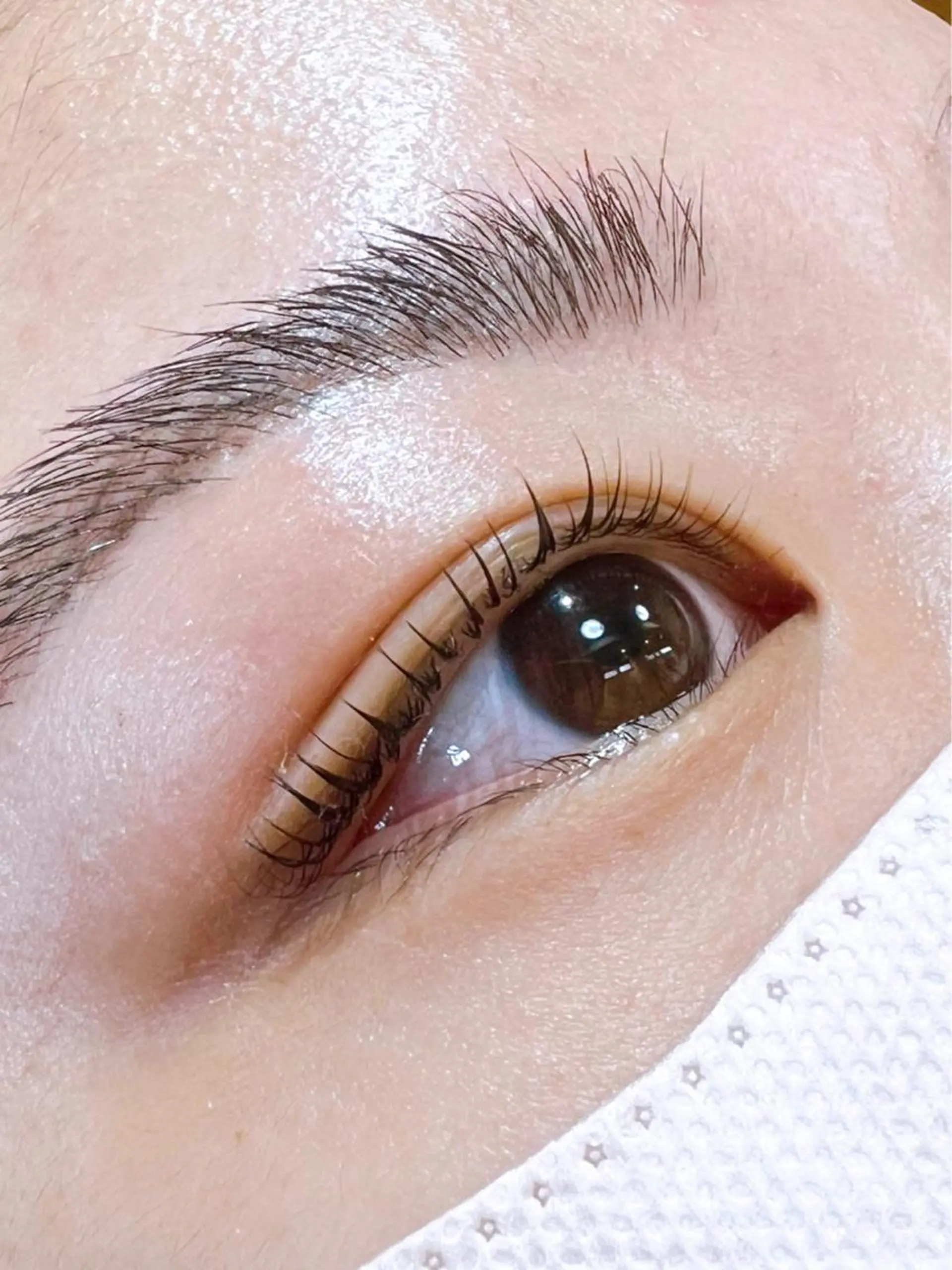 マツエク・マツパ フラットラッシュ まつげパーマ 一重×まつ毛パーマ マツパ pico所属・pico 守口 大日 門真 寝屋 摂津のマツエク・マツパデザイン