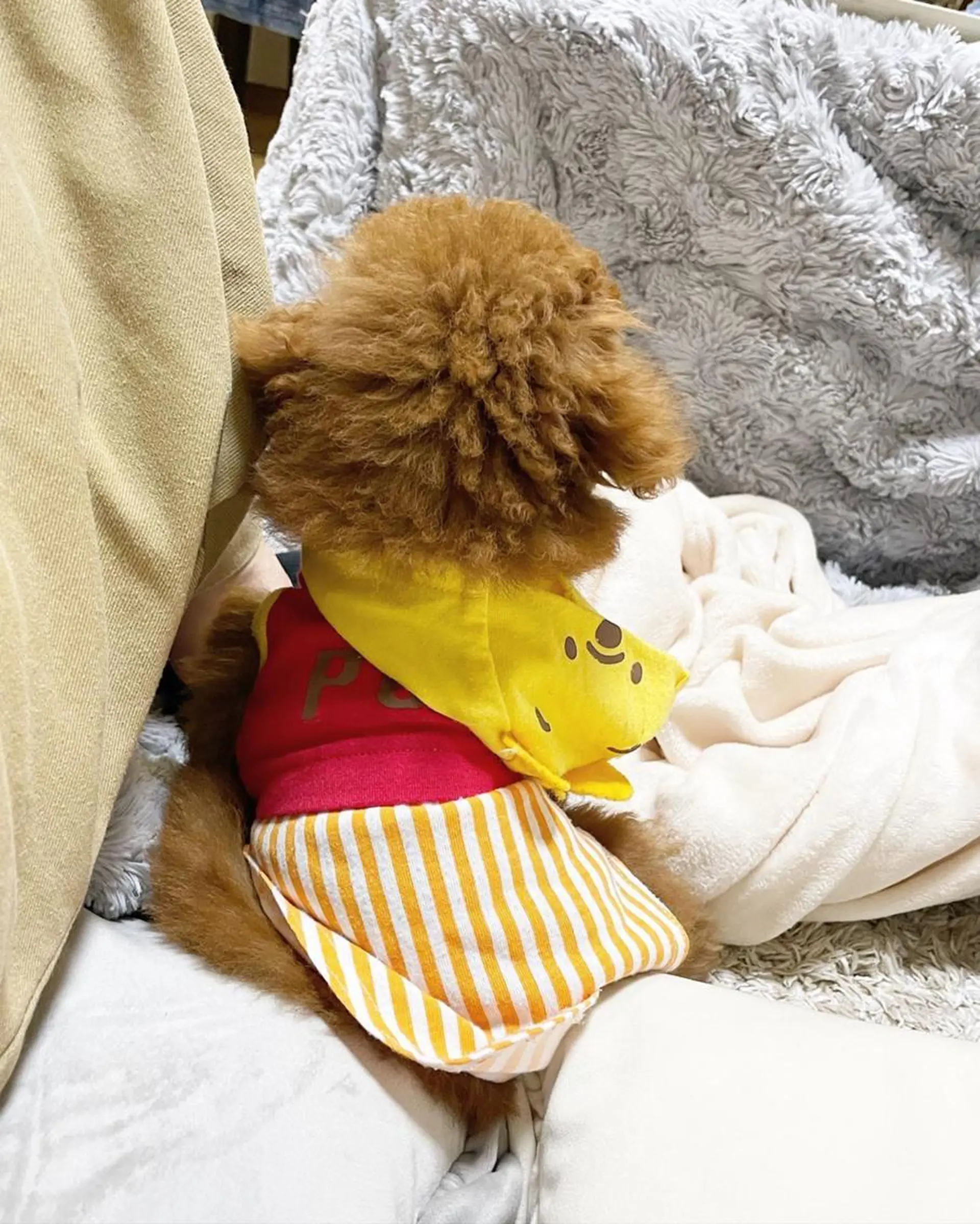 ショート カラー メンズ 🩷Eny terrace🩷のヘアスタイル