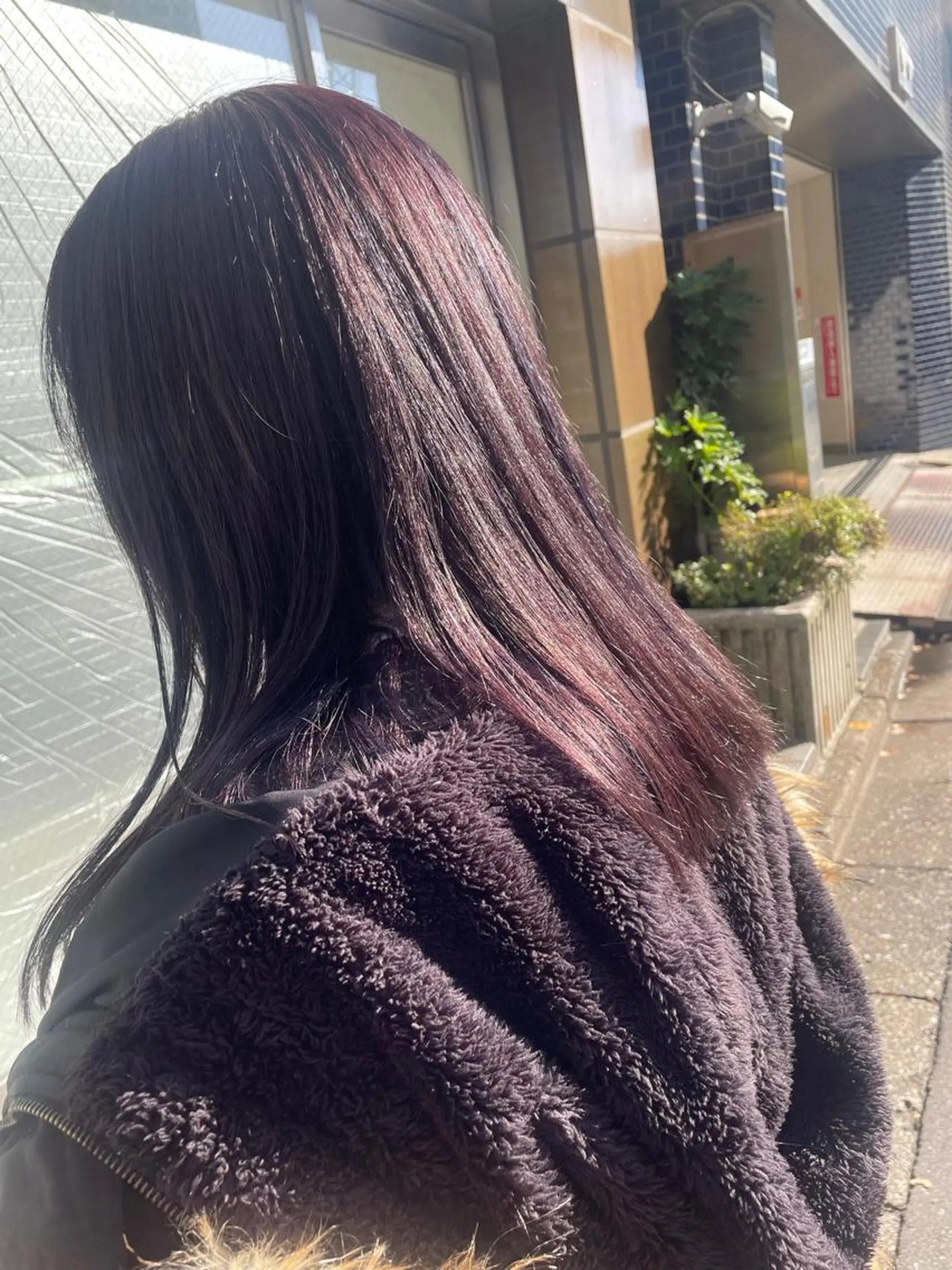 セミロング カラー バイオレットカラー カット ヘアカラー トリートメント Feria所属・カウンセリング重視 🌿‬Tsuyukiのヘアスタイル