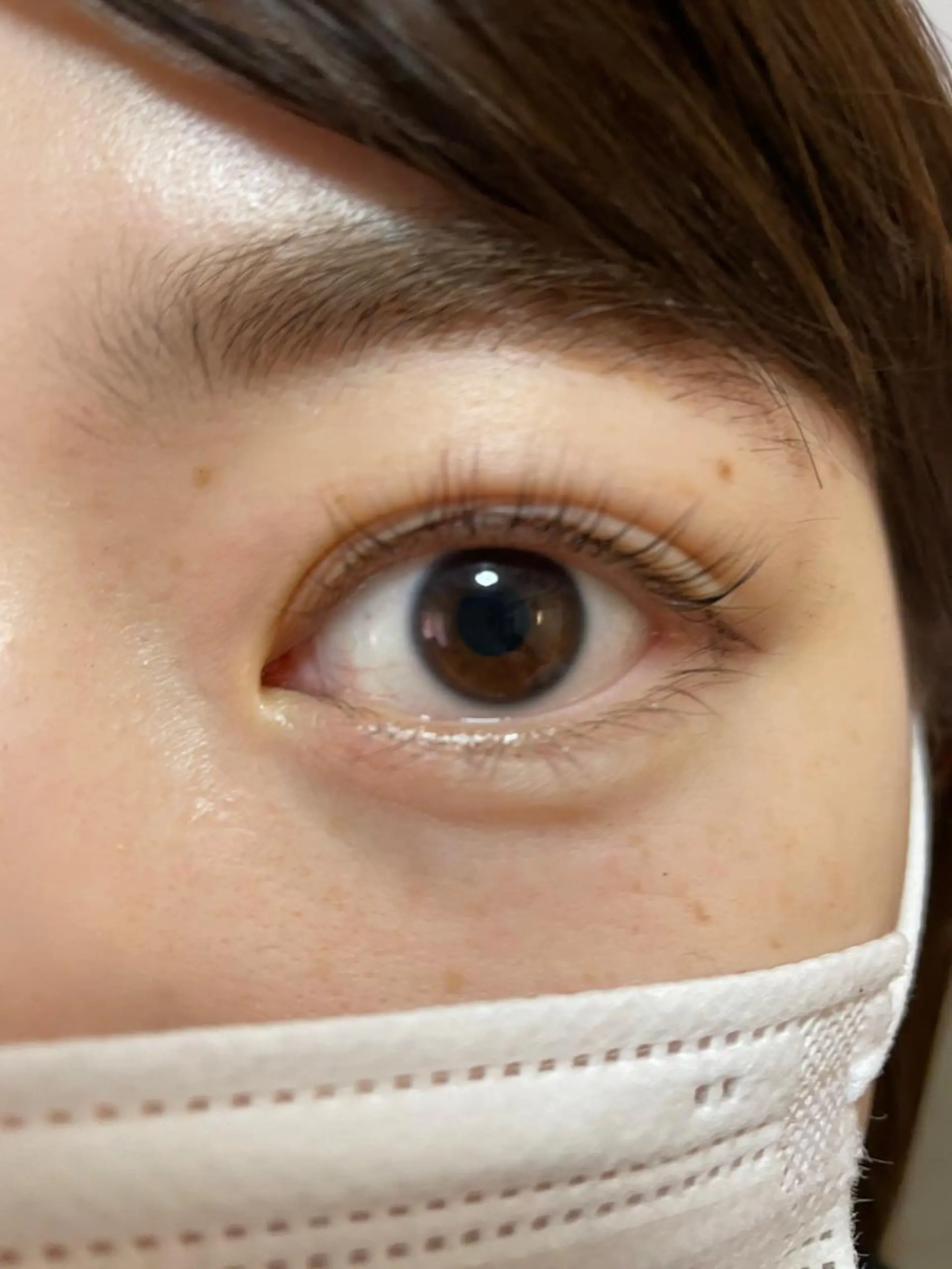 マツエク・マツパ NailandEye Lucaの眉毛・アイブロウイメージ