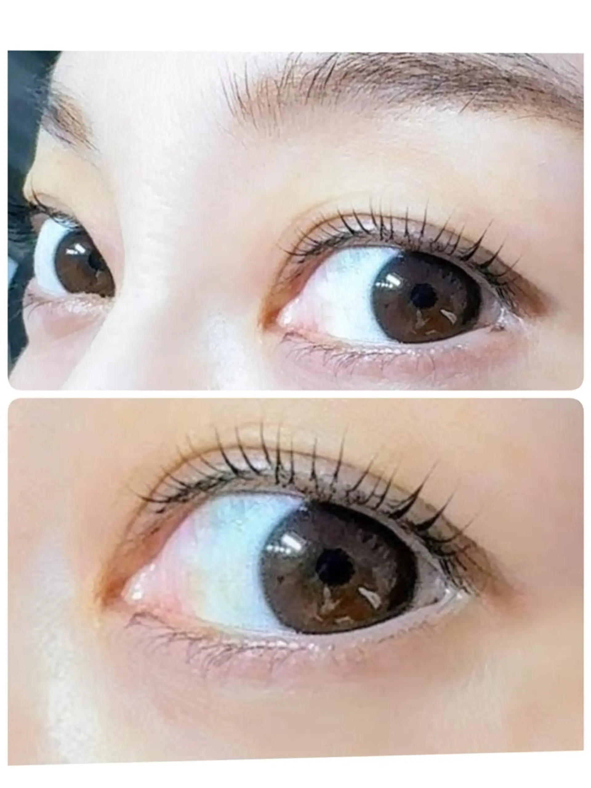 マツエク・マツパ Reline🌼まつ パ専門AN(アン)のマツエク・マツパデザイン