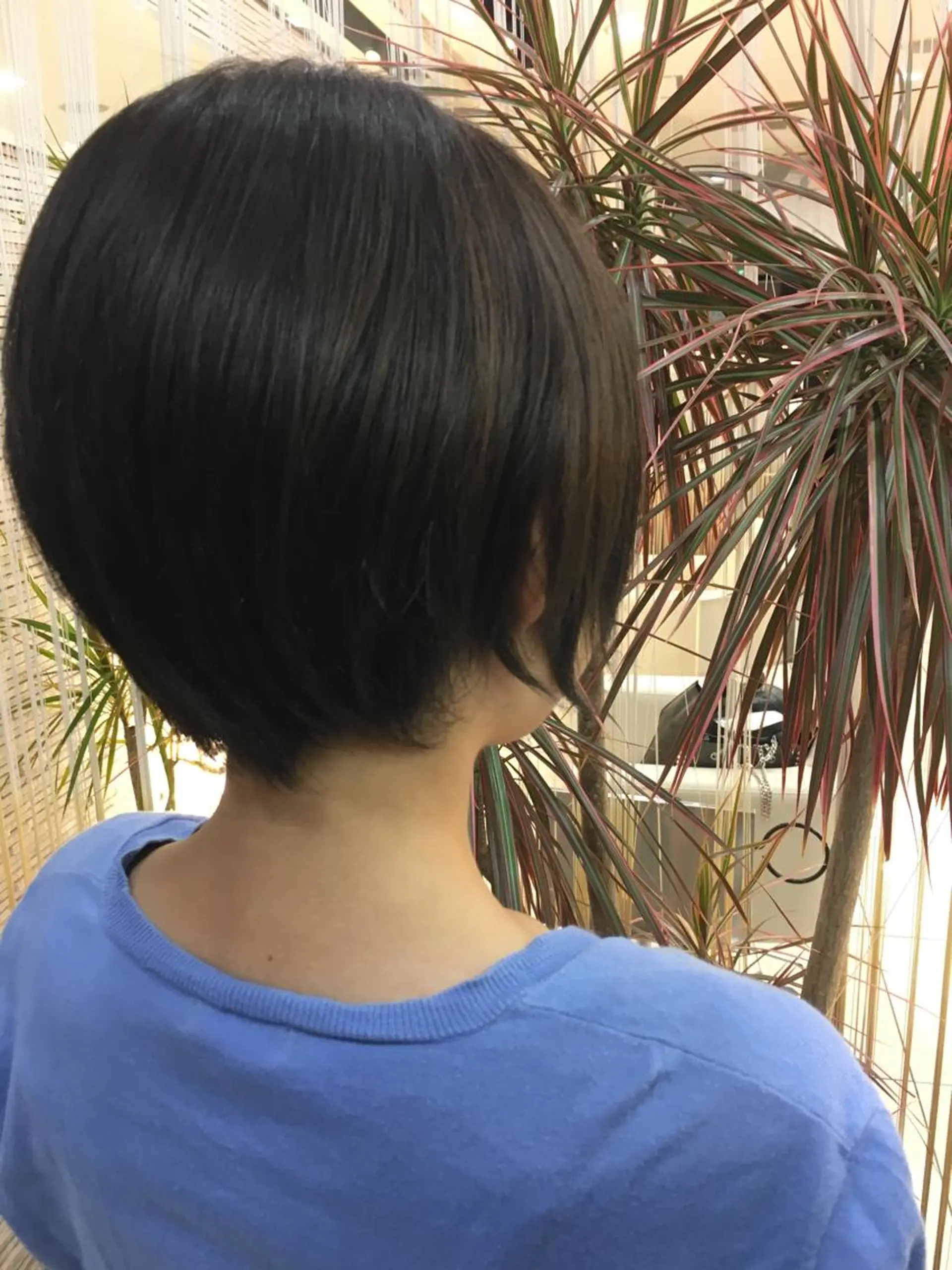 ショート カラー Min Te Lash 石澤のマツエク・マツパデザイン