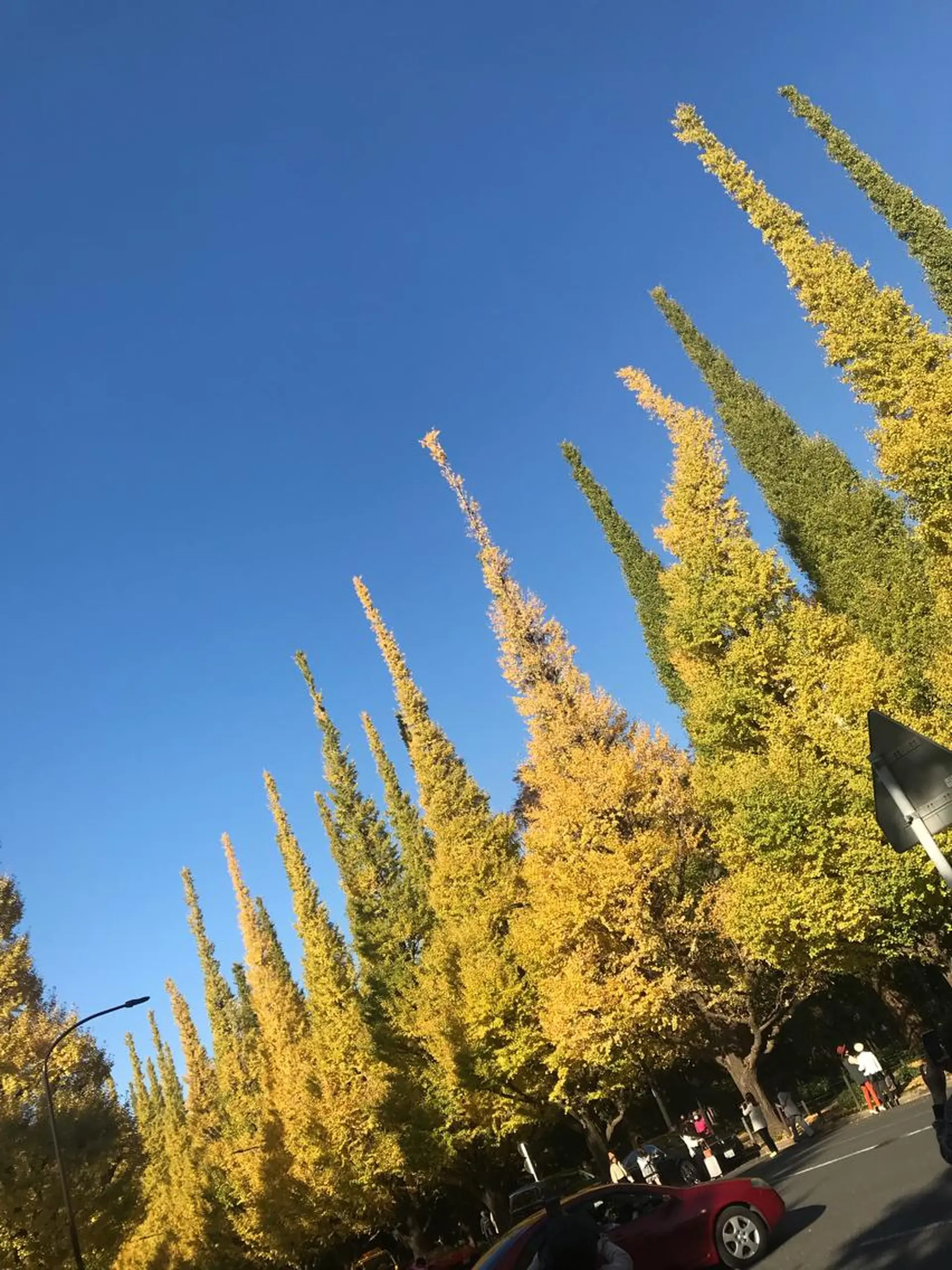 ミディアム カラー パーマ ヘアアレンジ メンズ キッズ ネイル マツエク・マツパ ブルー アニメ,Vオタク× 即効痩せエステサロンのエステ・リラクイメージ