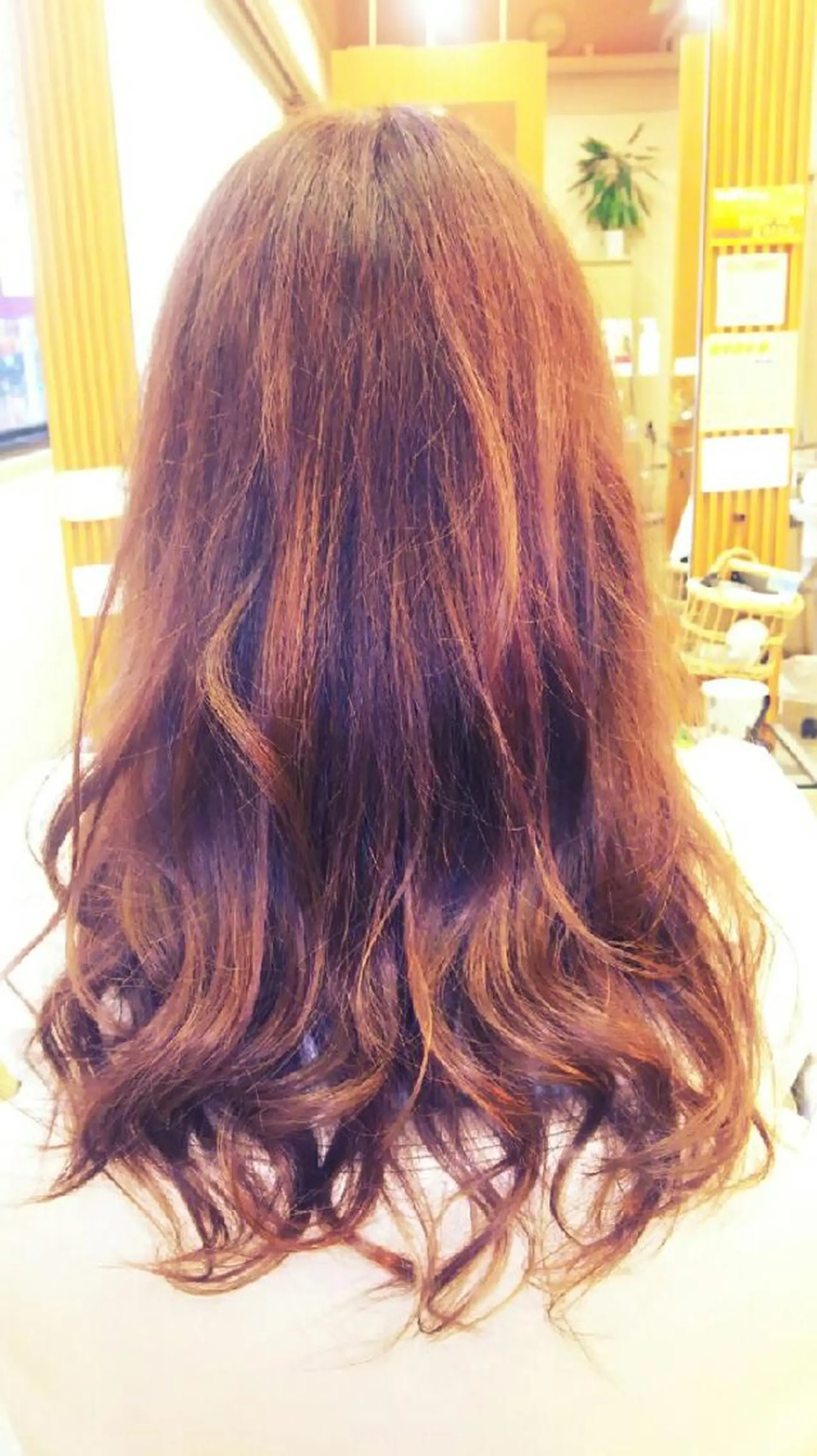 ロング カラー バイオレットカラー 脇田 雄大のヘアスタイル