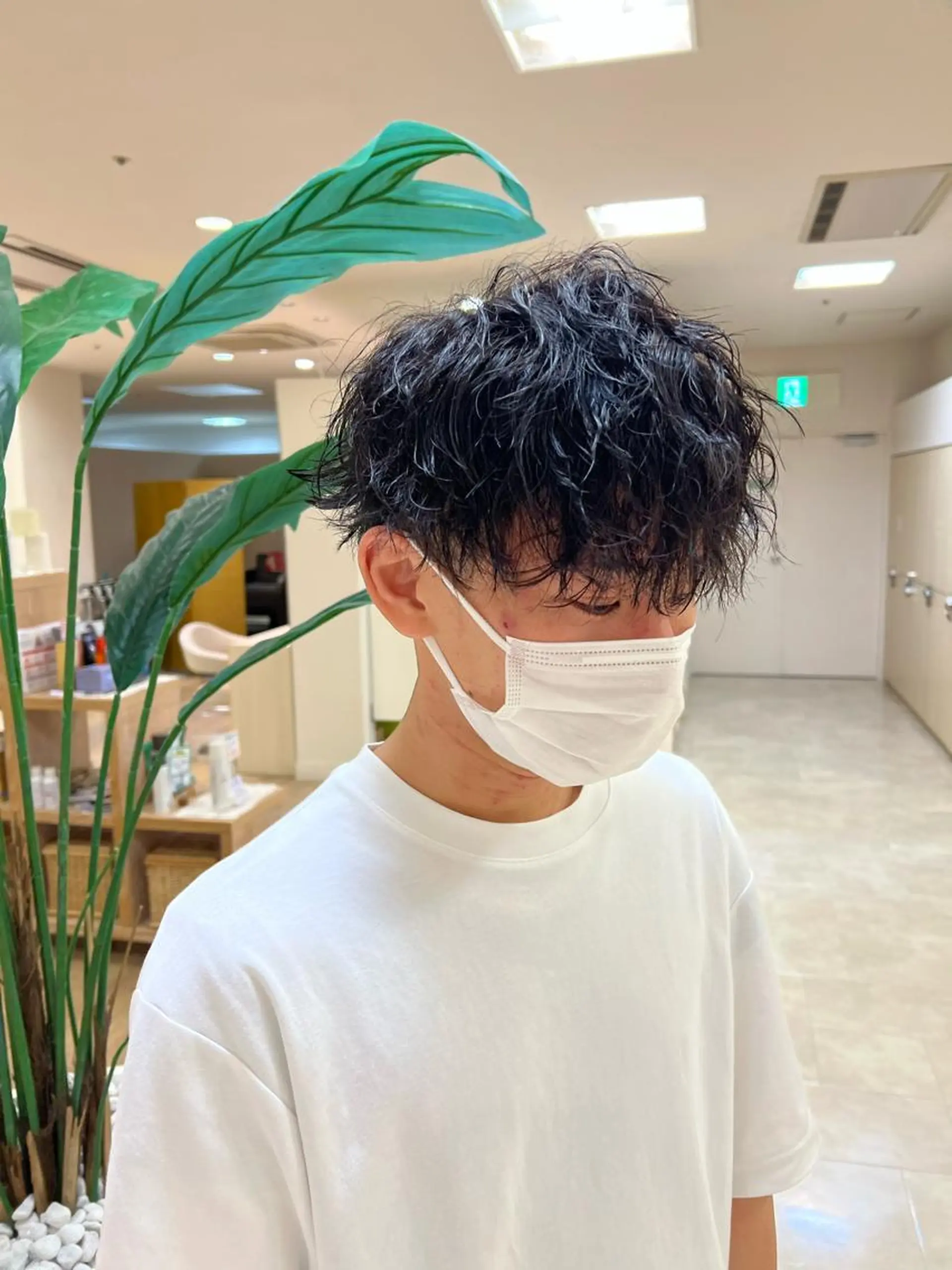 ショート パーマ カット パーマ トリートメント ヘアセット ハイトーン/ウルフ /レイヤー/坂野幸伸のヘアスタイル