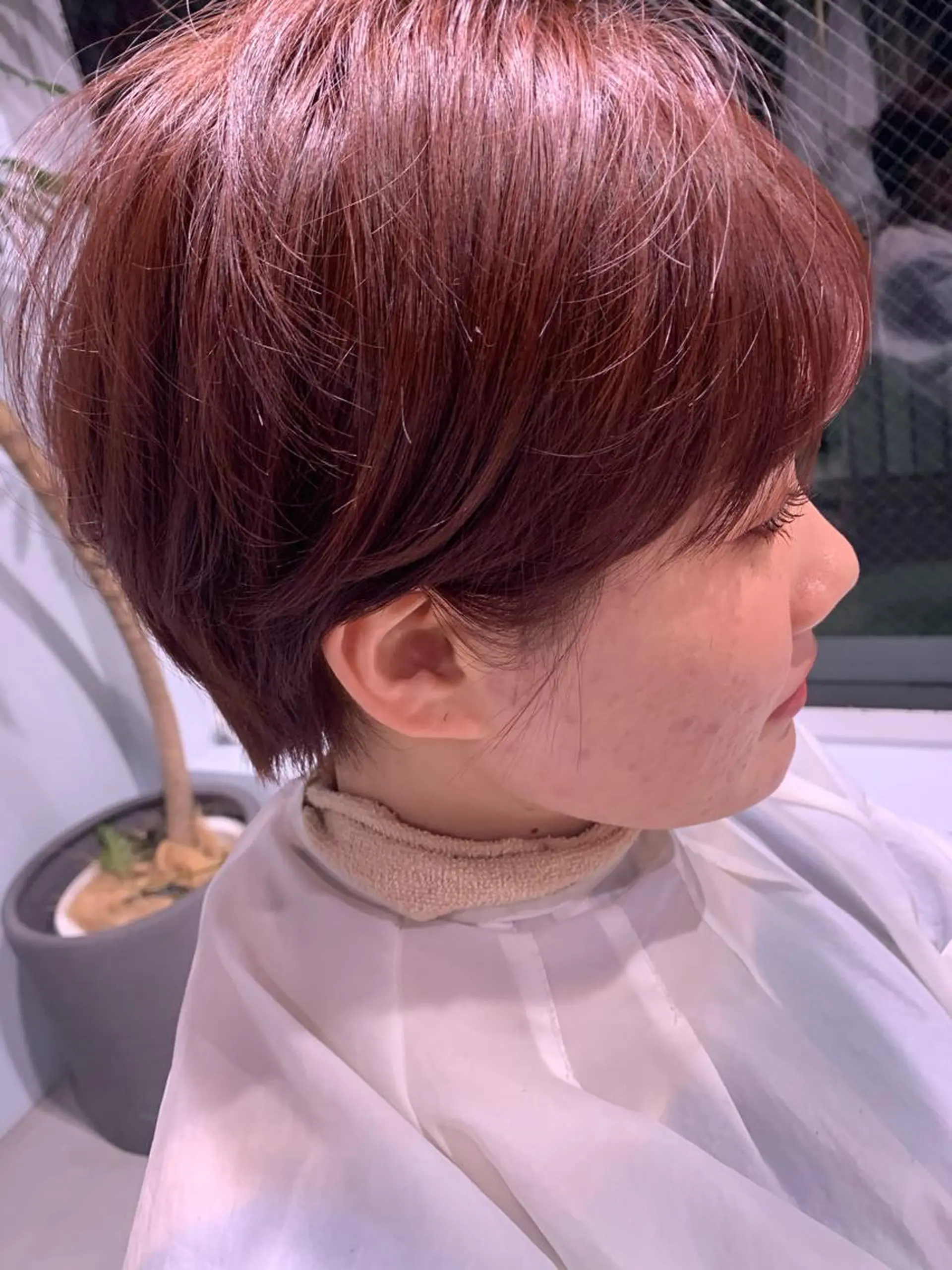 カラー ブラウンカラー ピンクカラー 鈴木 真司のヘアスタイル