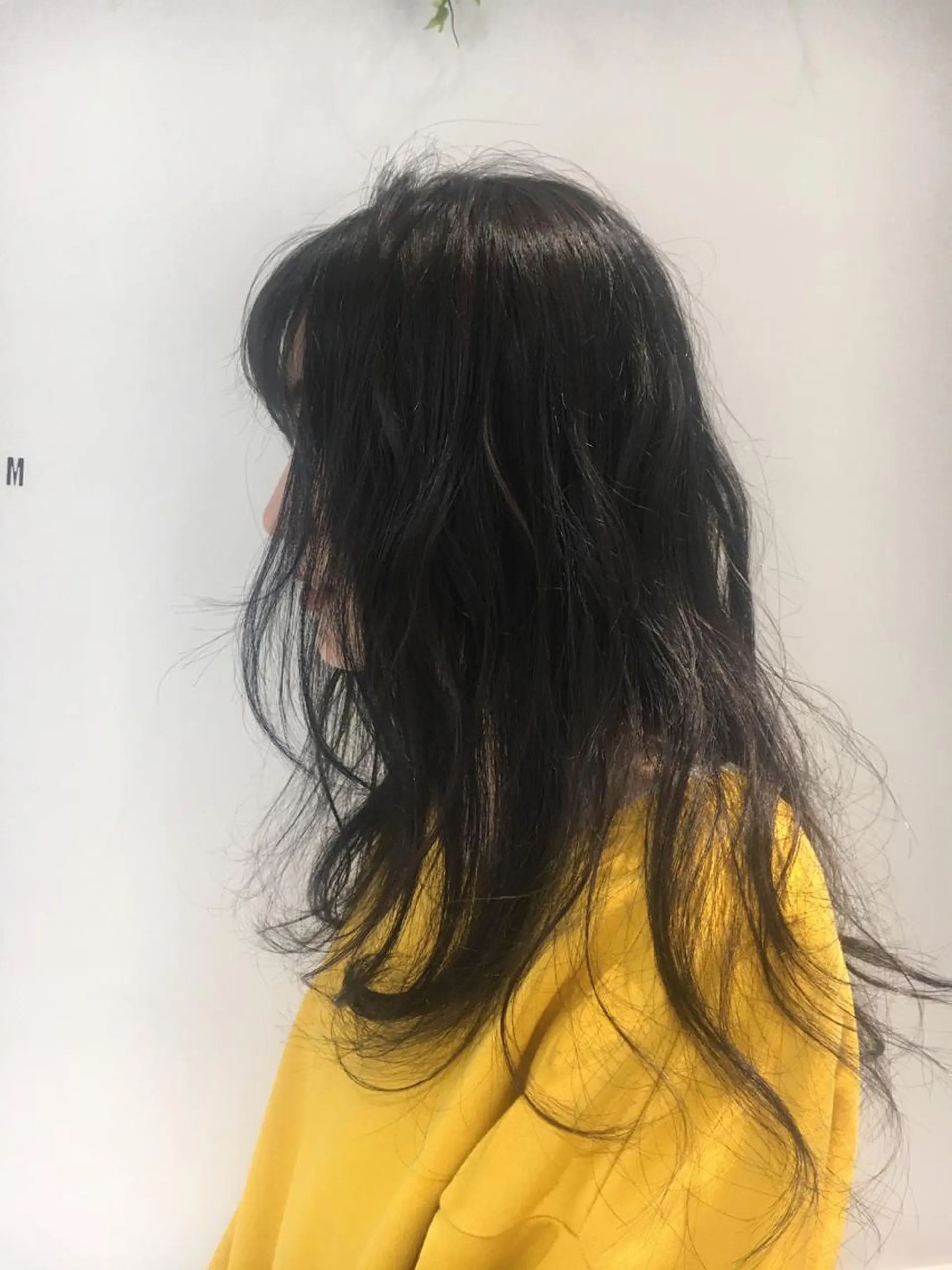 カラー アッシュ ブルーカラー ブルーアッシュ 江原 彩華のヘアスタイル