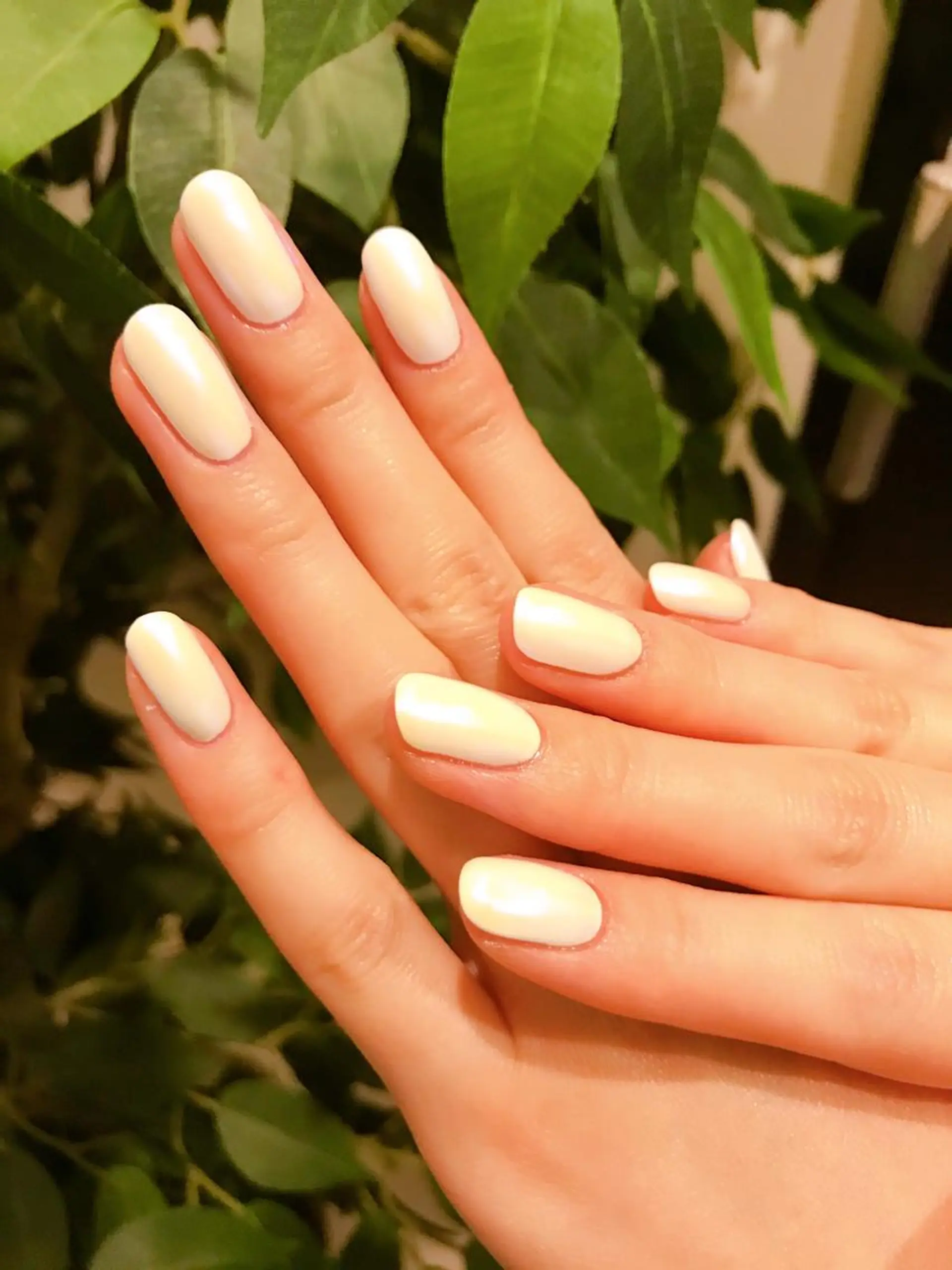 ネイル オーロラネイル nail salon　Natural Cure所属・平井 彩香のネイルデザイン